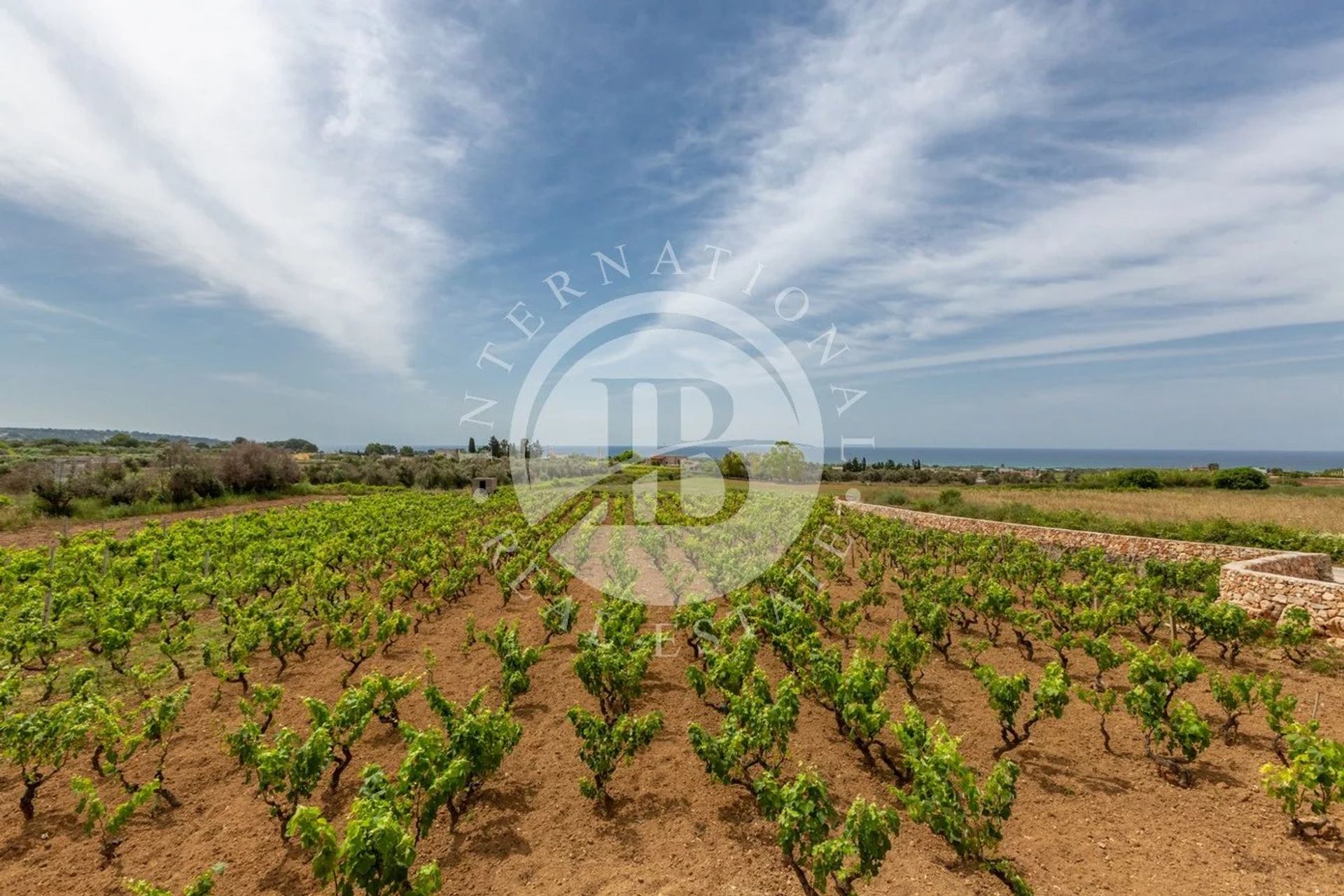 House in Morciano di Leuca, Puglia 12024627