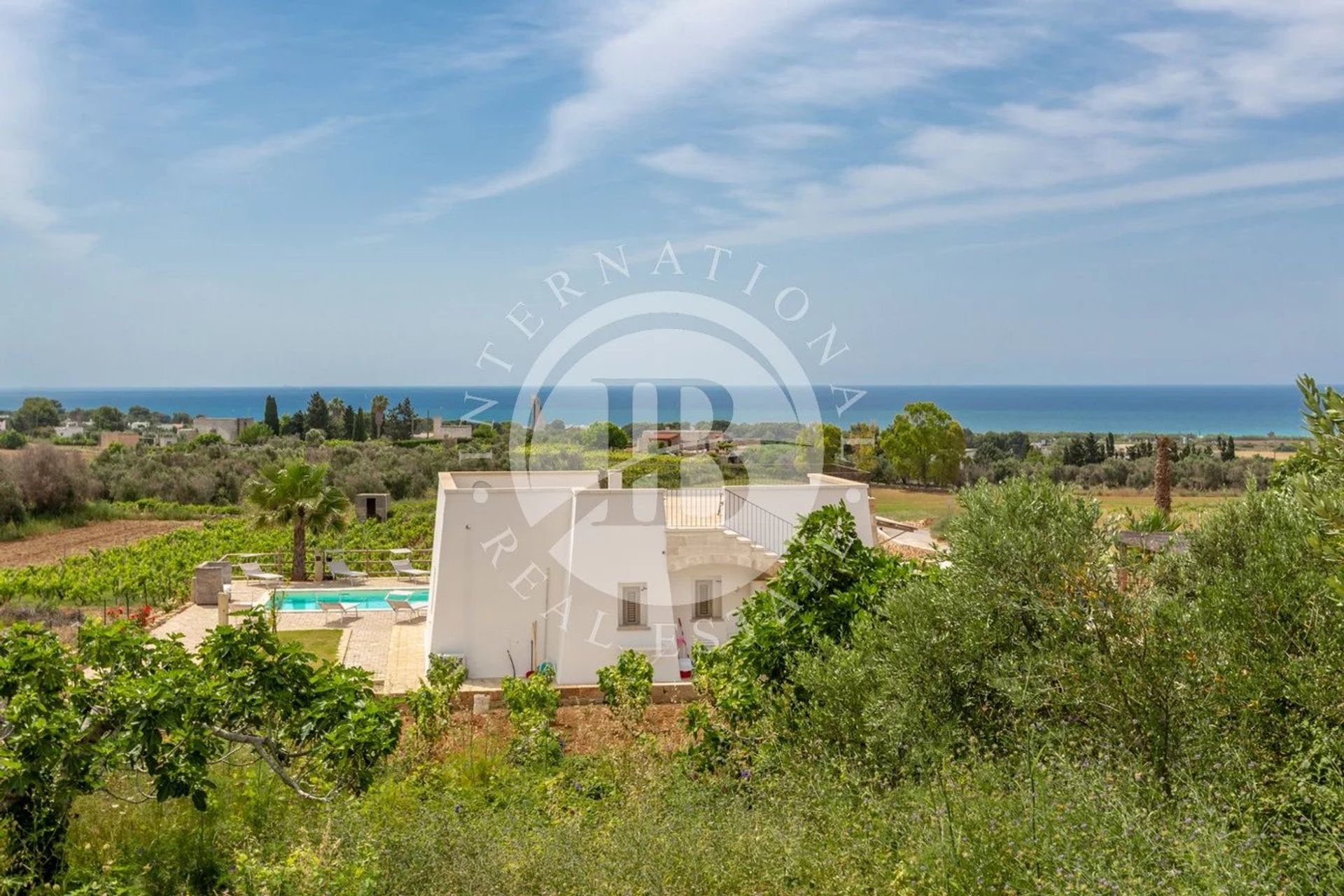 House in Morciano di Leuca, Puglia 12024627