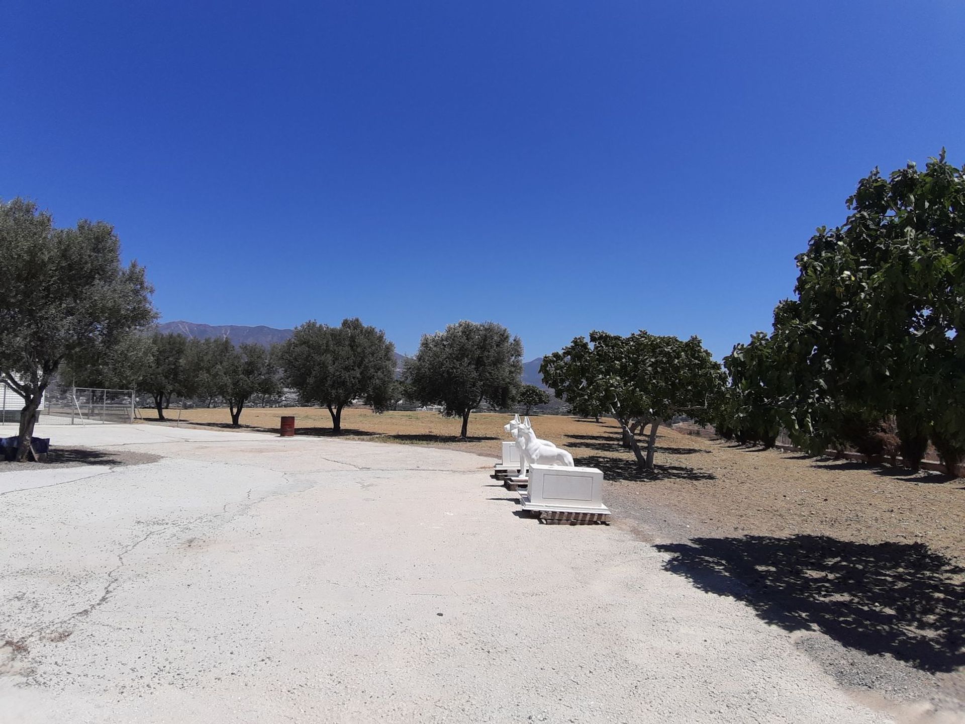 Land i Mijas, Andalucía 12025754