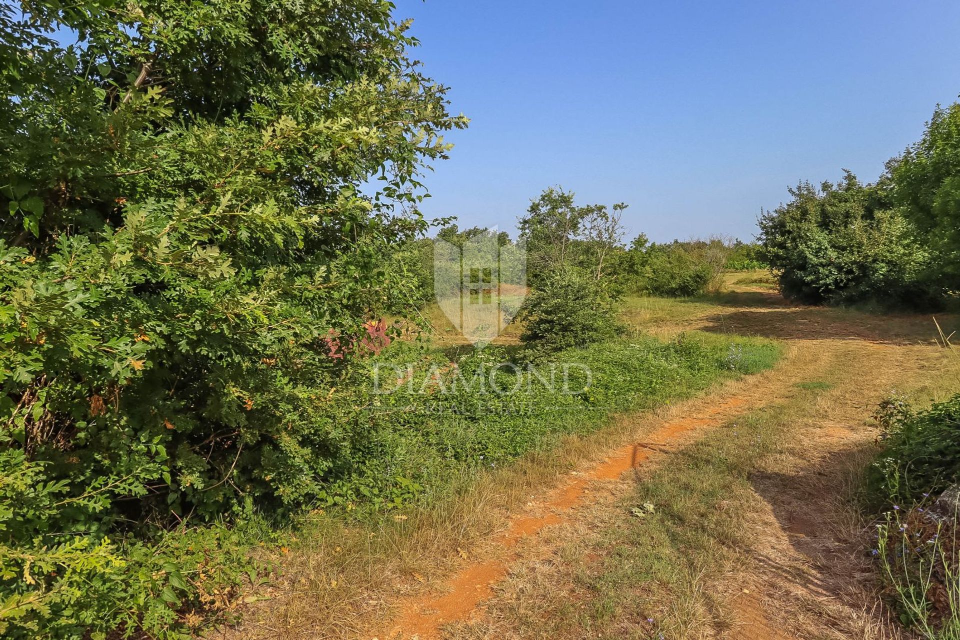 Land in Svetvinčenat, Istria County 12028095