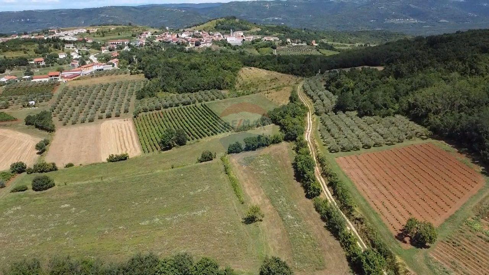 Tierra en Vizinada, Istarska Zupanija 12030711