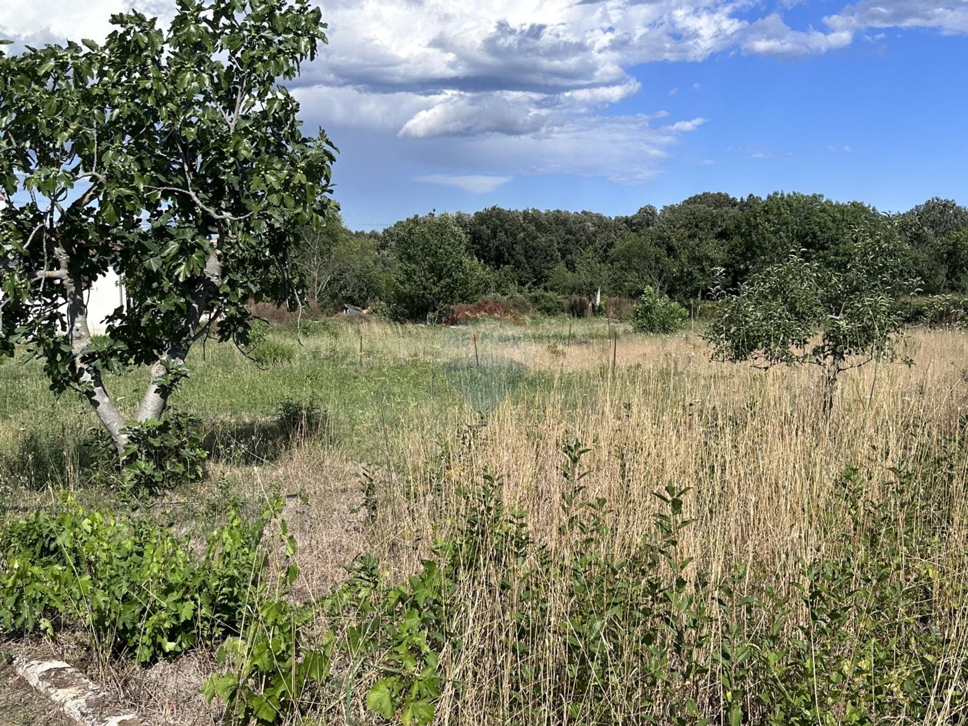 Land i Pula, Istarska županija 12030720