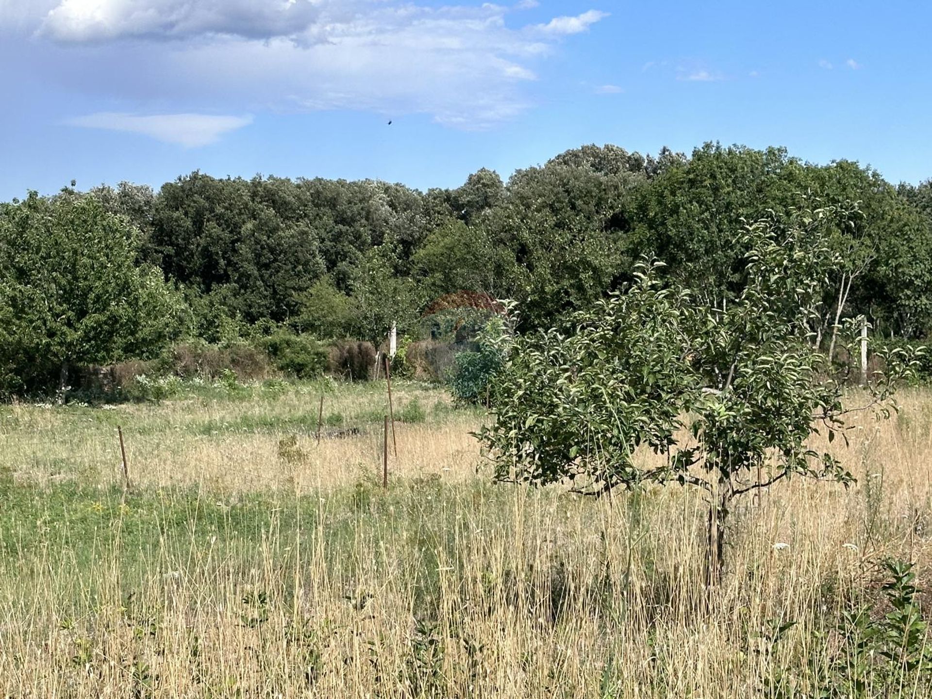 Tierra en Pula, Istarska županija 12030720