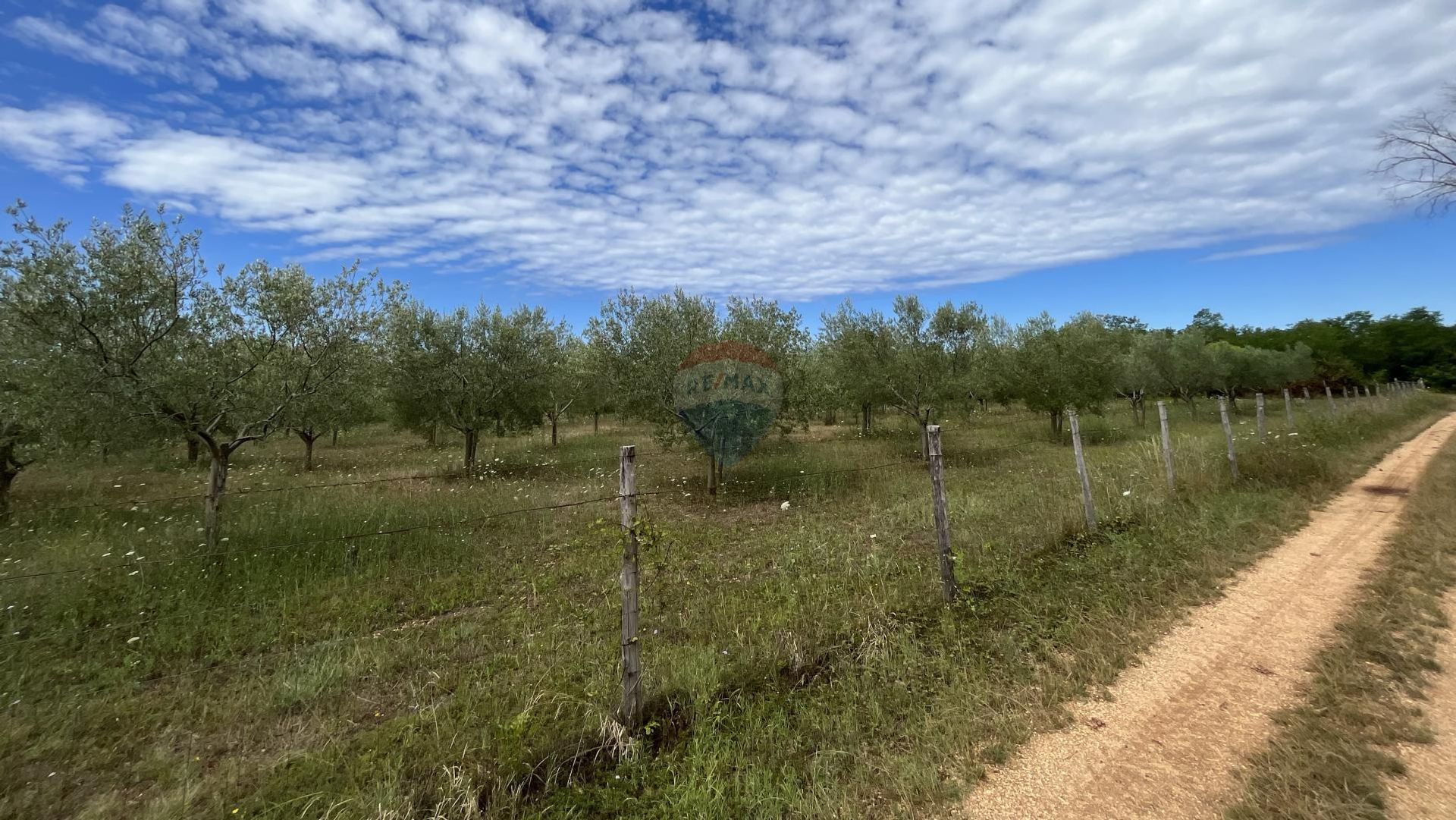 Land in Kastelir, Istarska Zupanija 12030745