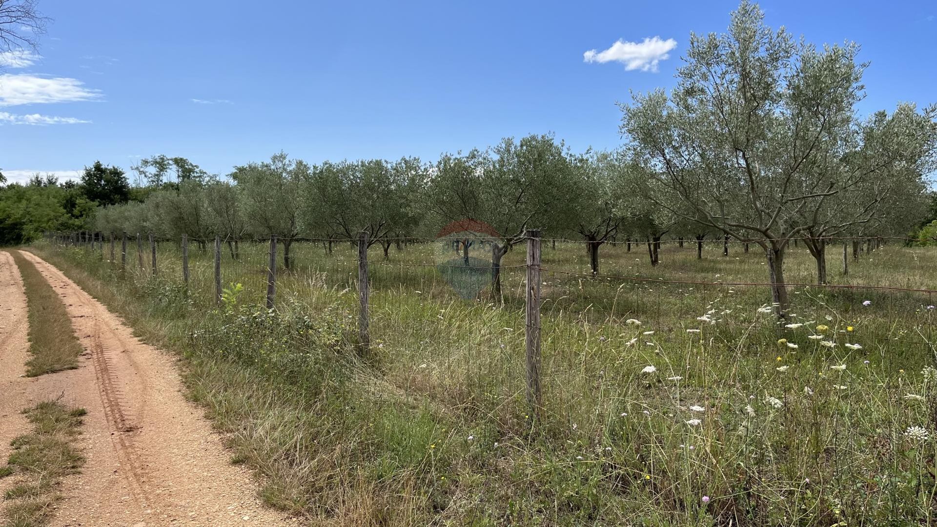 Tierra en Labinci, Istarska županija 12030745