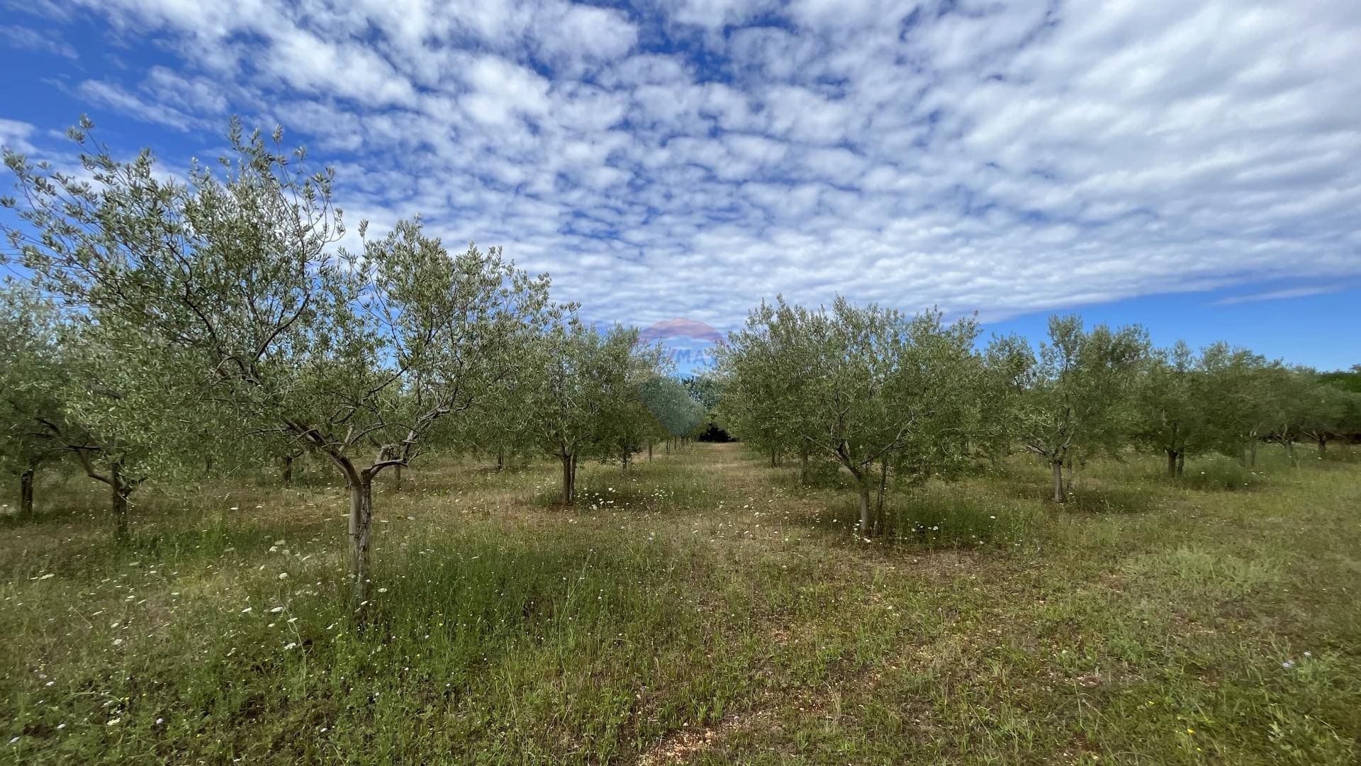 Land i Kastelir, Istarska Zupanija 12030745