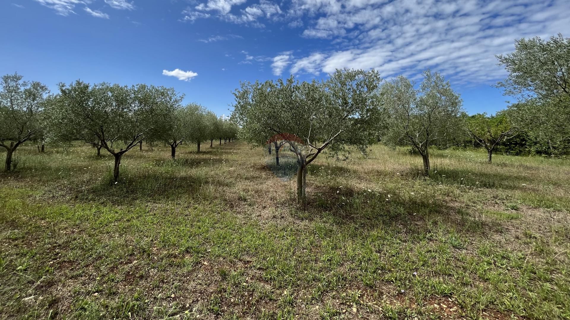 Land in Kastelir, Istarska Zupanija 12030745