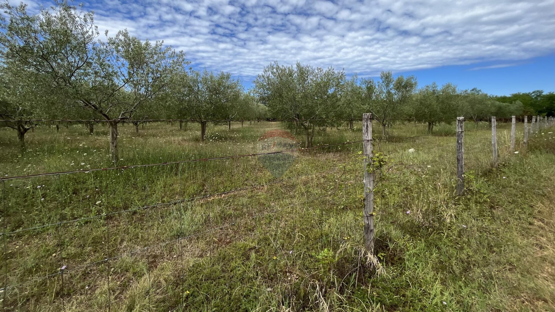 Land in Kastelir, Istarska Zupanija 12030745