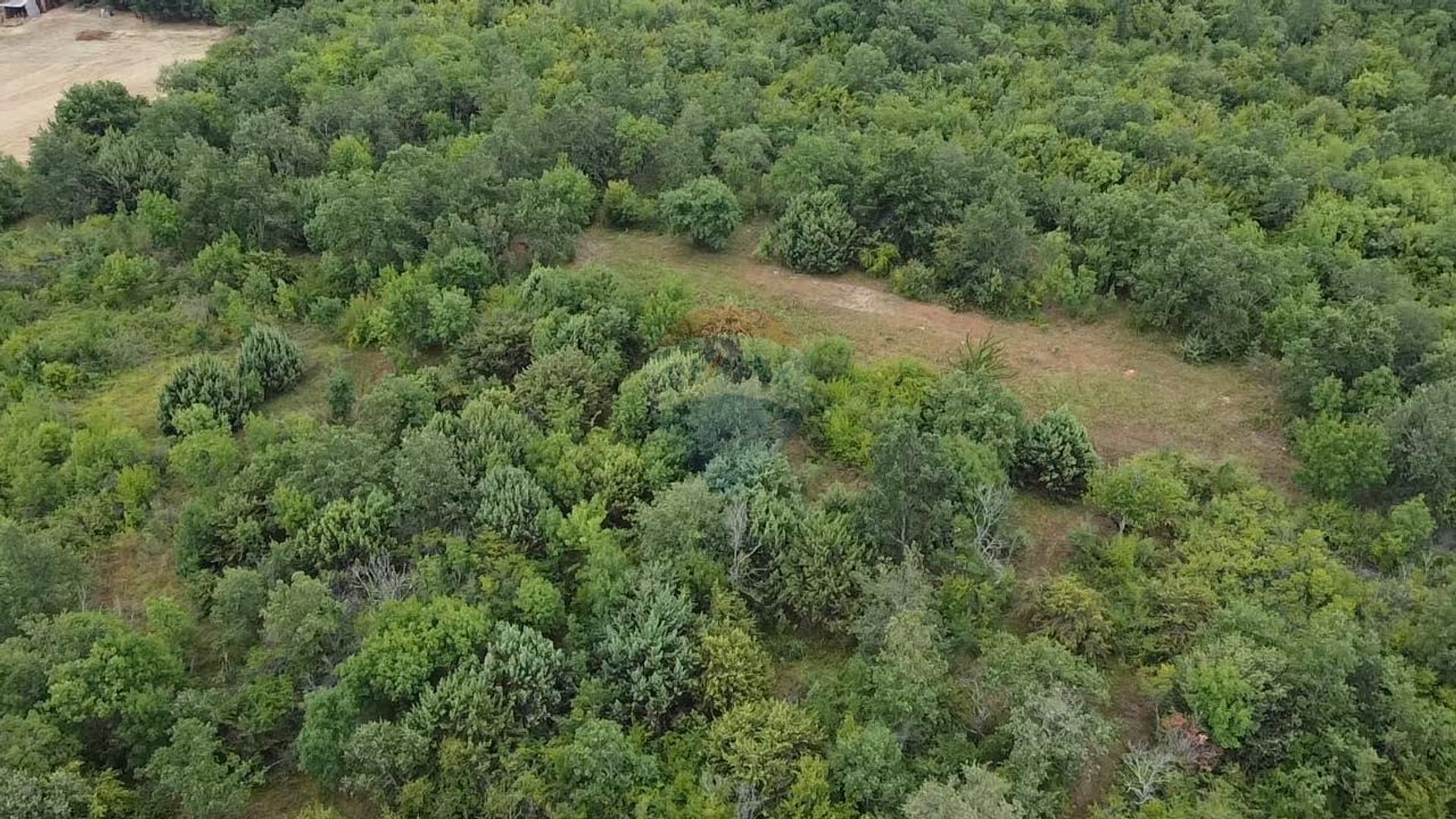 Tierra en Sveti Lovrec Pazenaticki, Istarska Županija 12030768