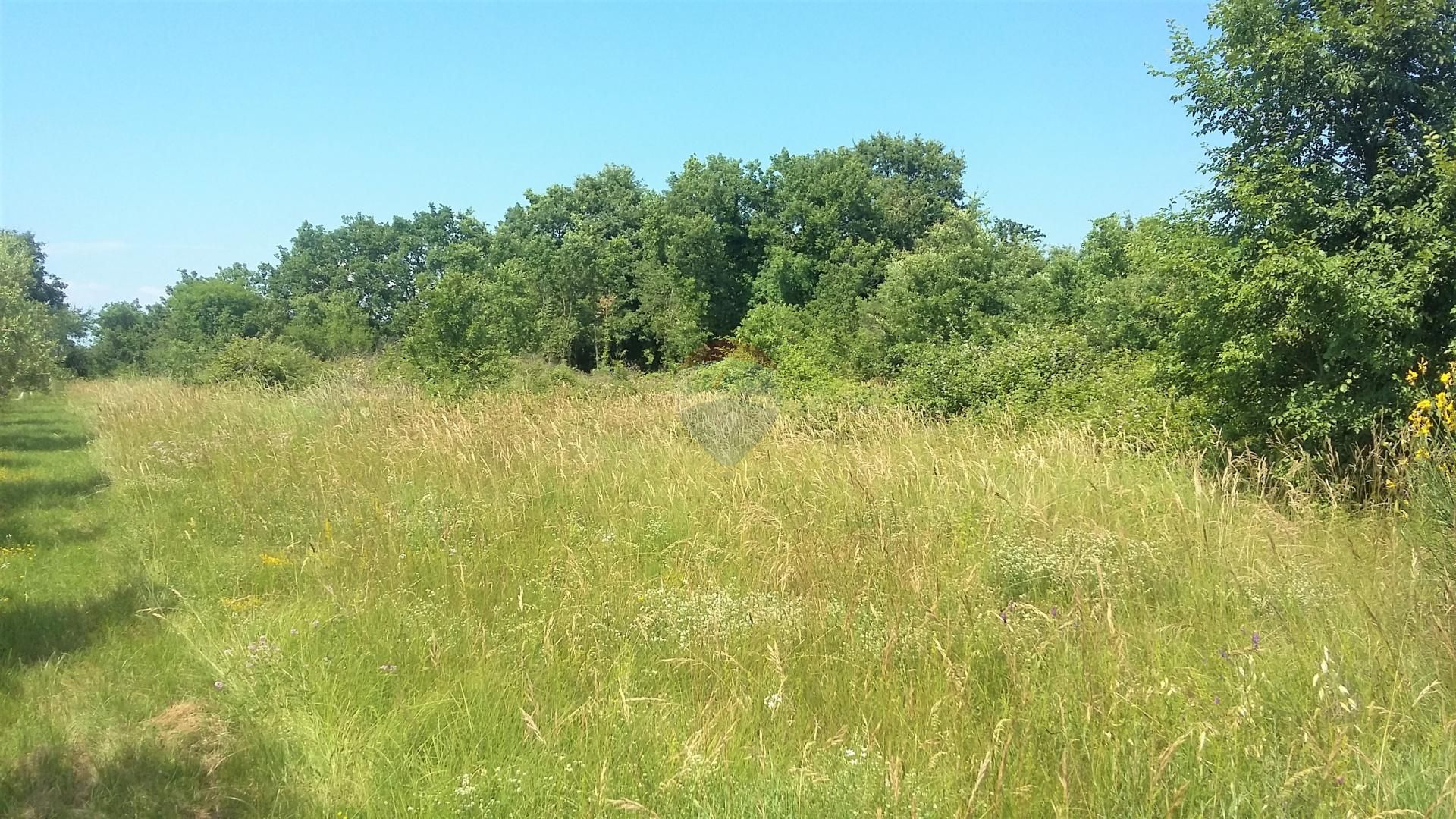 Tanah dalam Lovrečica, Istarska županija 12030889