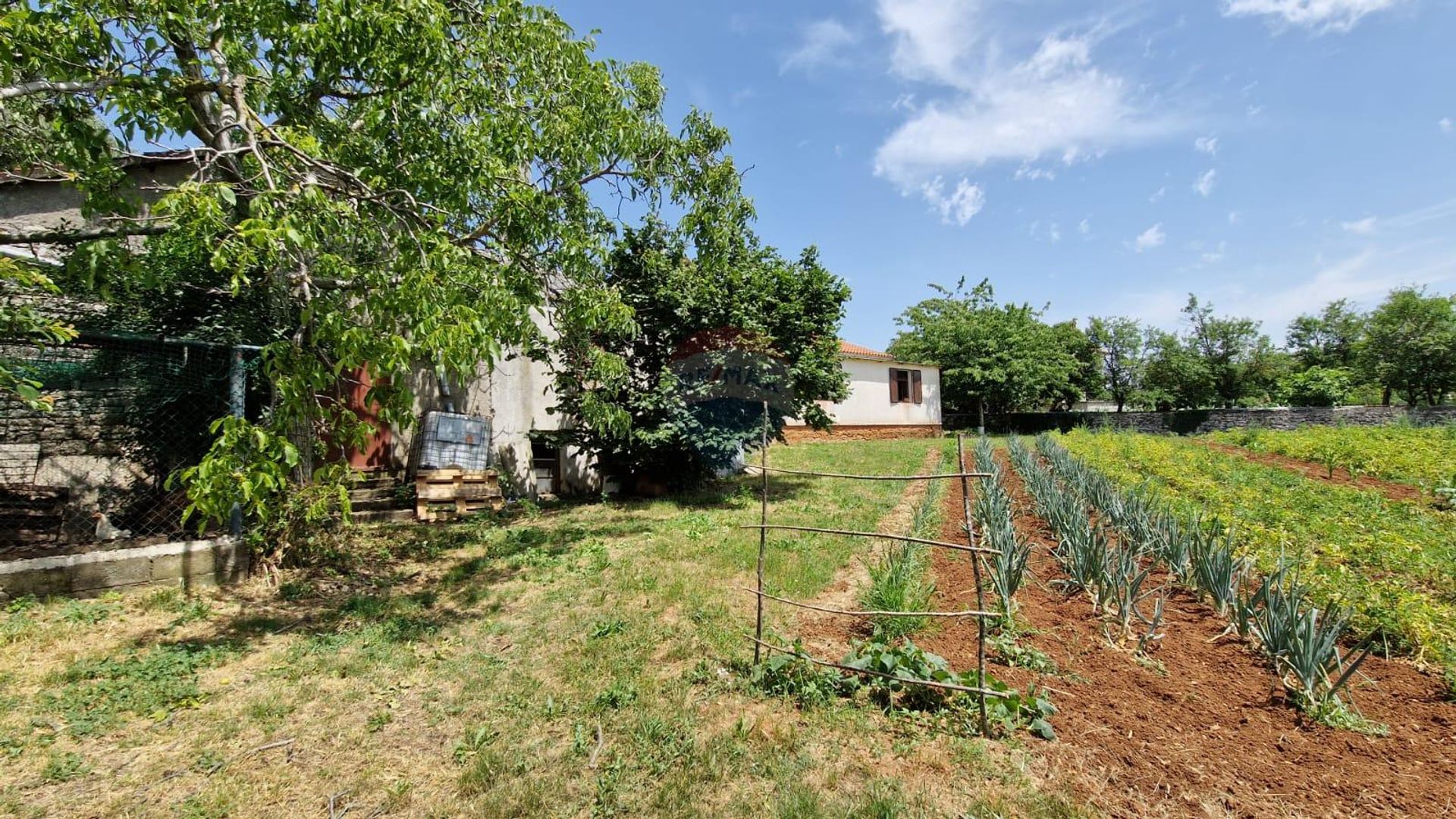 House in Svetvincenat, Istarska Zupanija 12031062