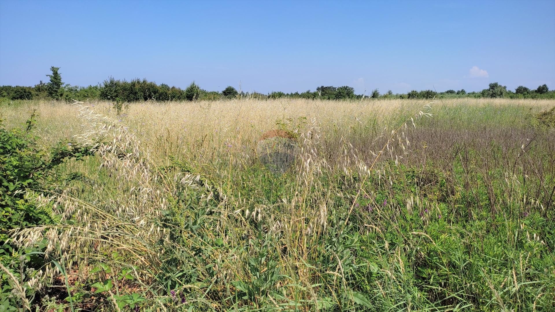 Tanah dalam Umag, Istarska Zupanija 12031253