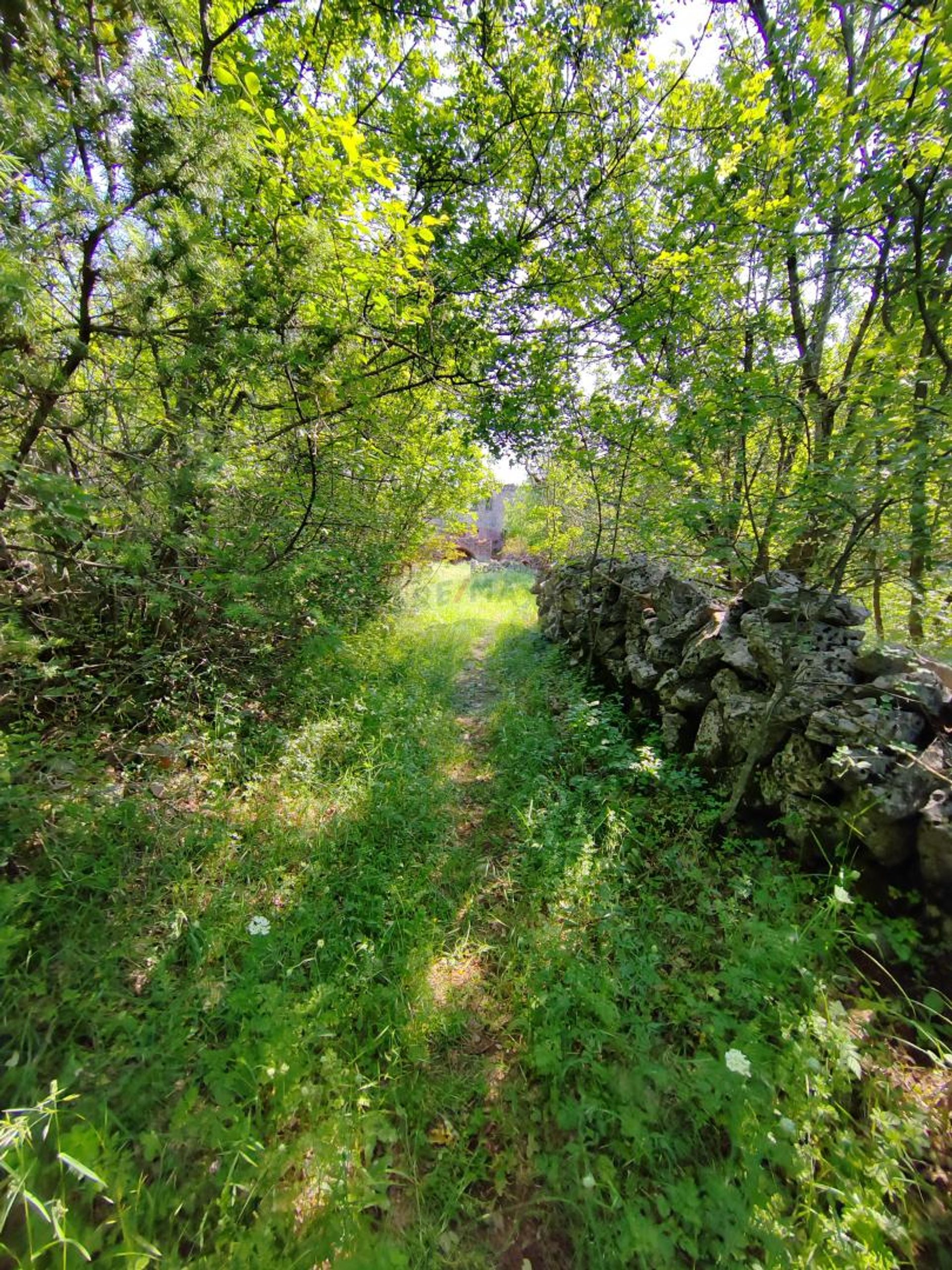 بيت في Kampelje, Primorsko-goranska županija 12031375