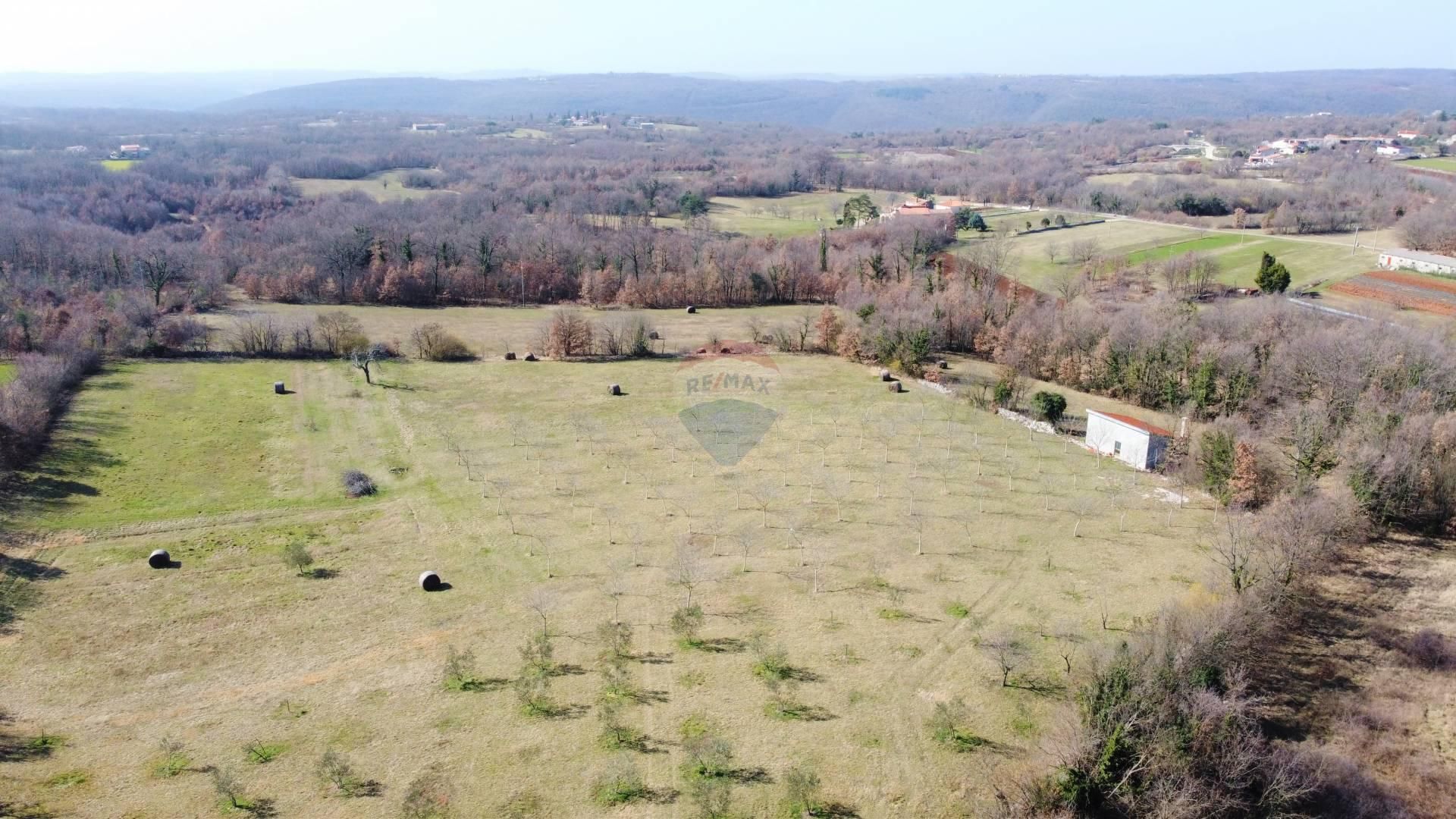 Land im Zminj, Istarska Zupanija 12031387