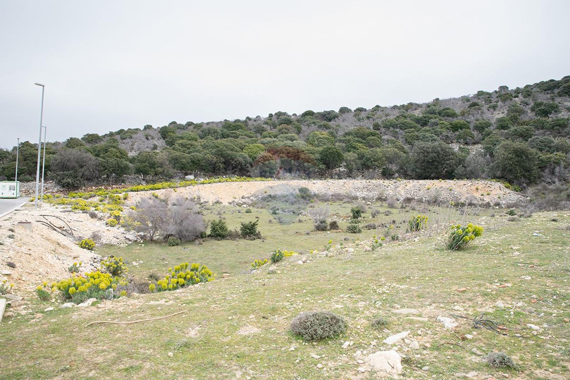 ארץ ב Lopar, Primorsko-goranska županija 12031585