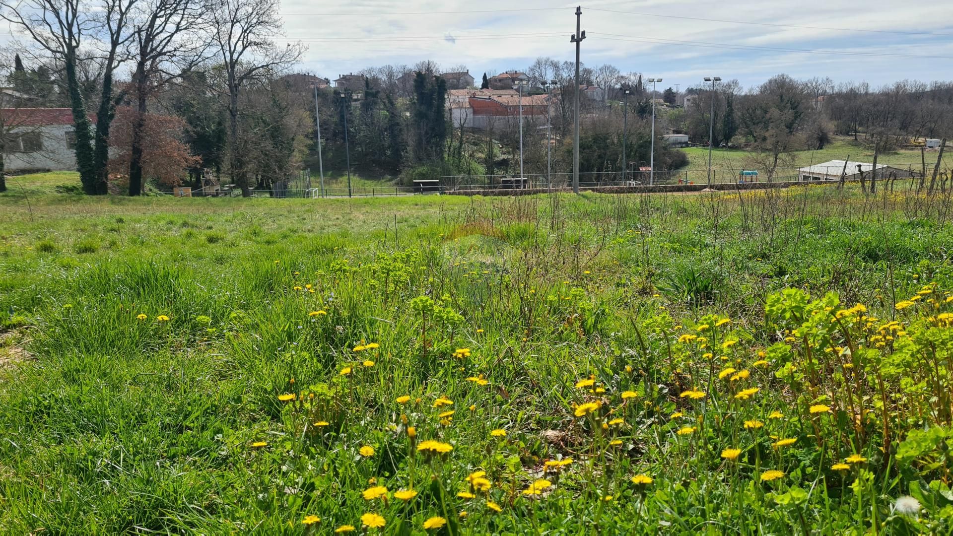 Land in Karojba, Istarska županija 12031611