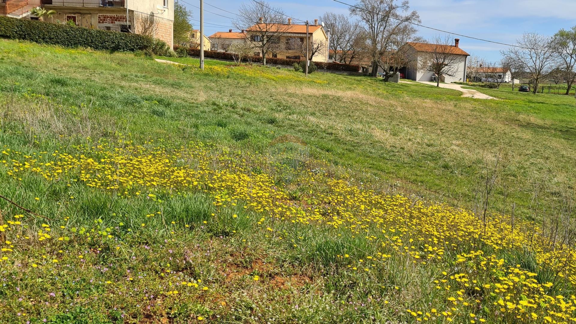 Land in Karojba, Istarska županija 12031611