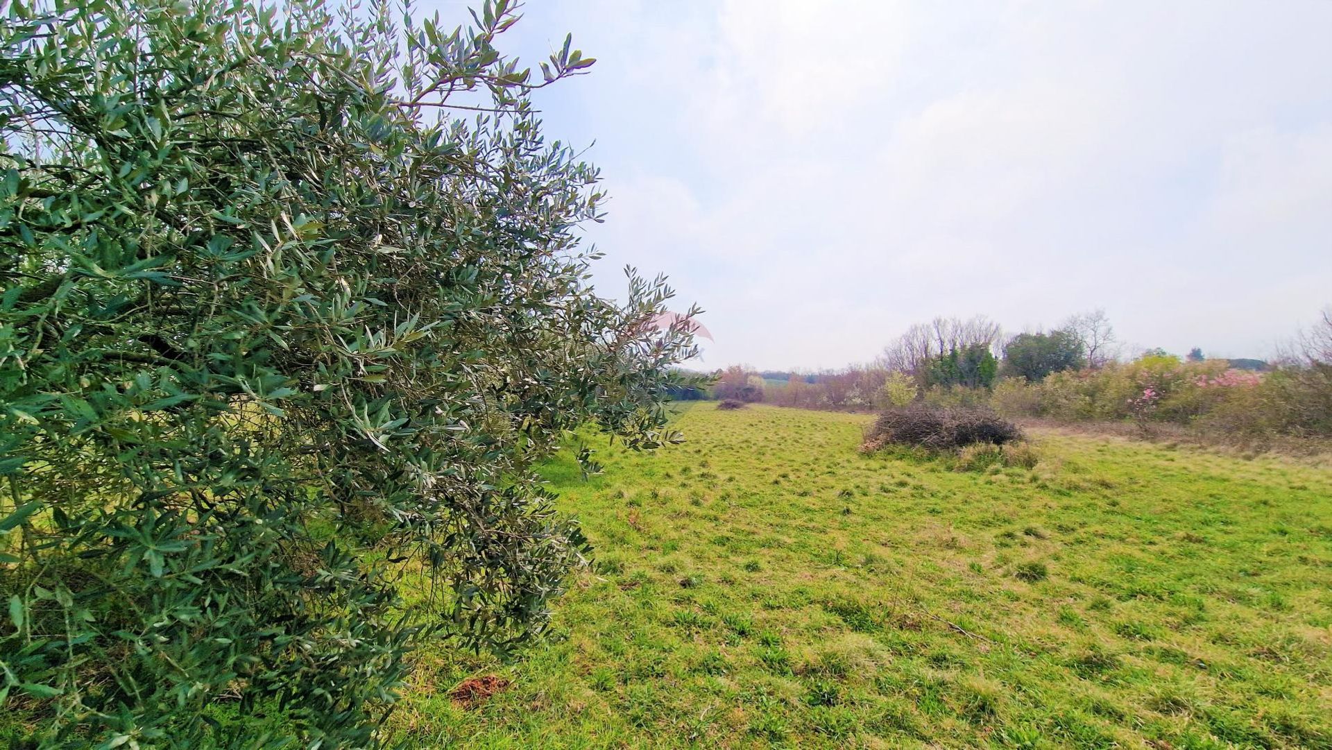 Tanah dalam Murine, Istarska županija 12031703