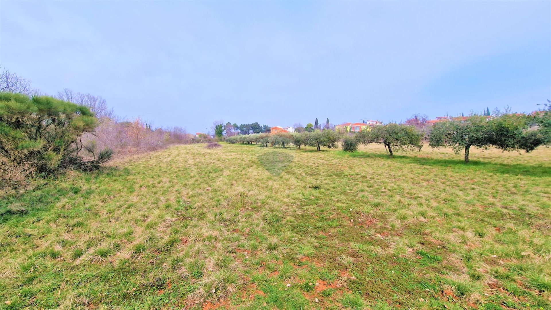 Land in Umag, Istarska Zupanija 12031703