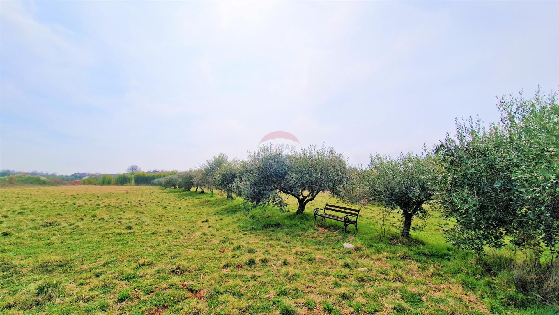 Tierra en Murine, Istarska županija 12031703