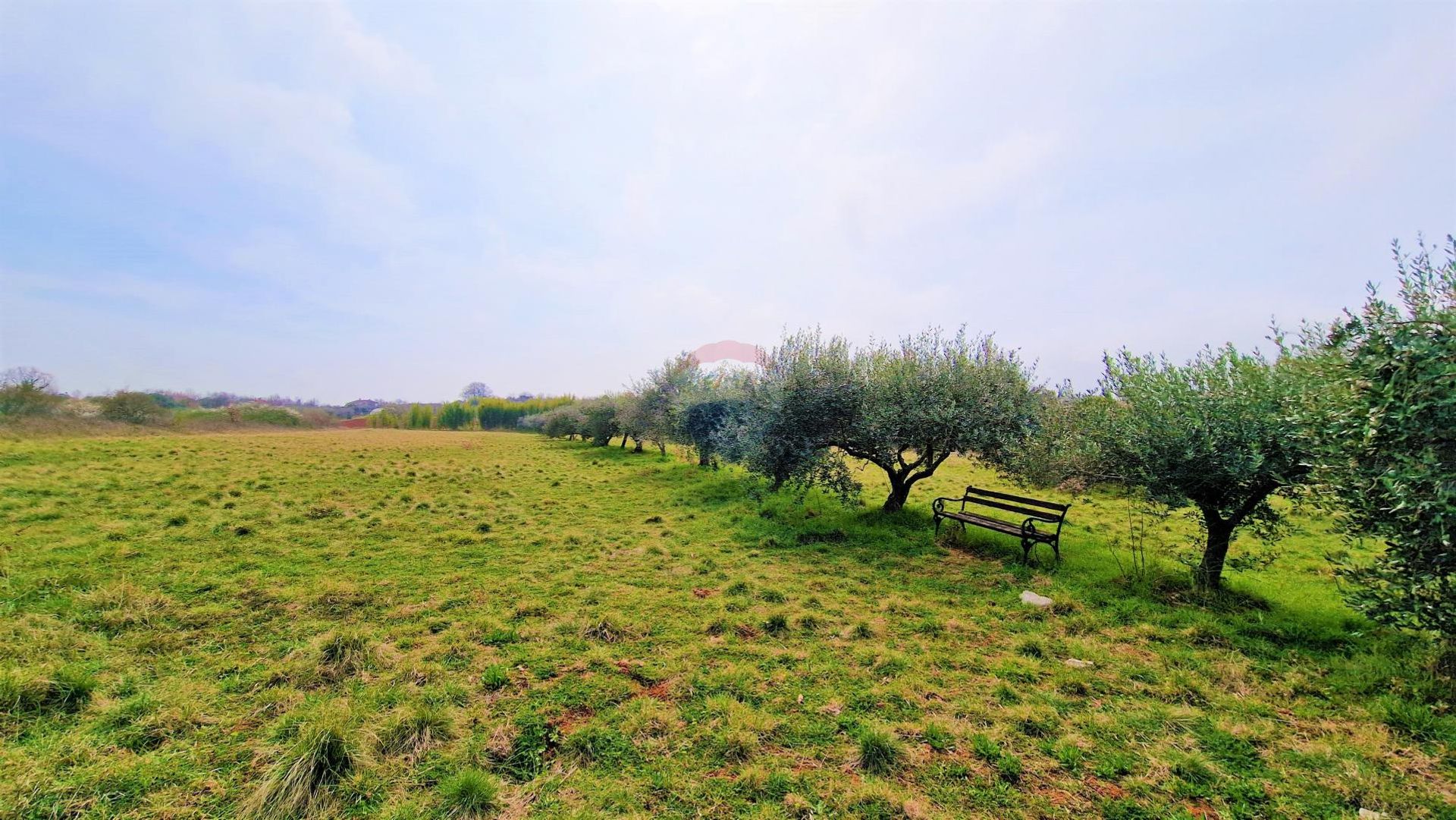 Tierra en Murine, Istarska županija 12031703