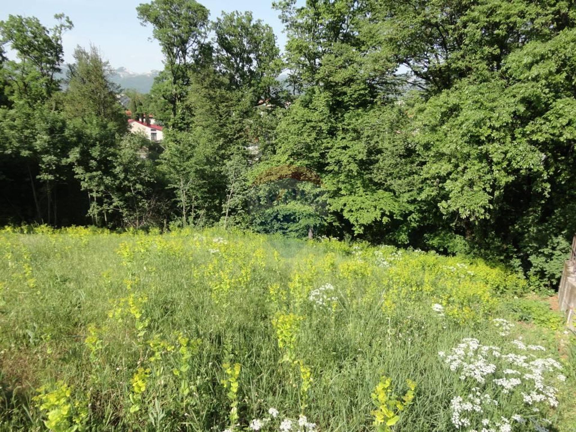 Land in Cavle, Primorsko-Goranska Zupanija 12031705