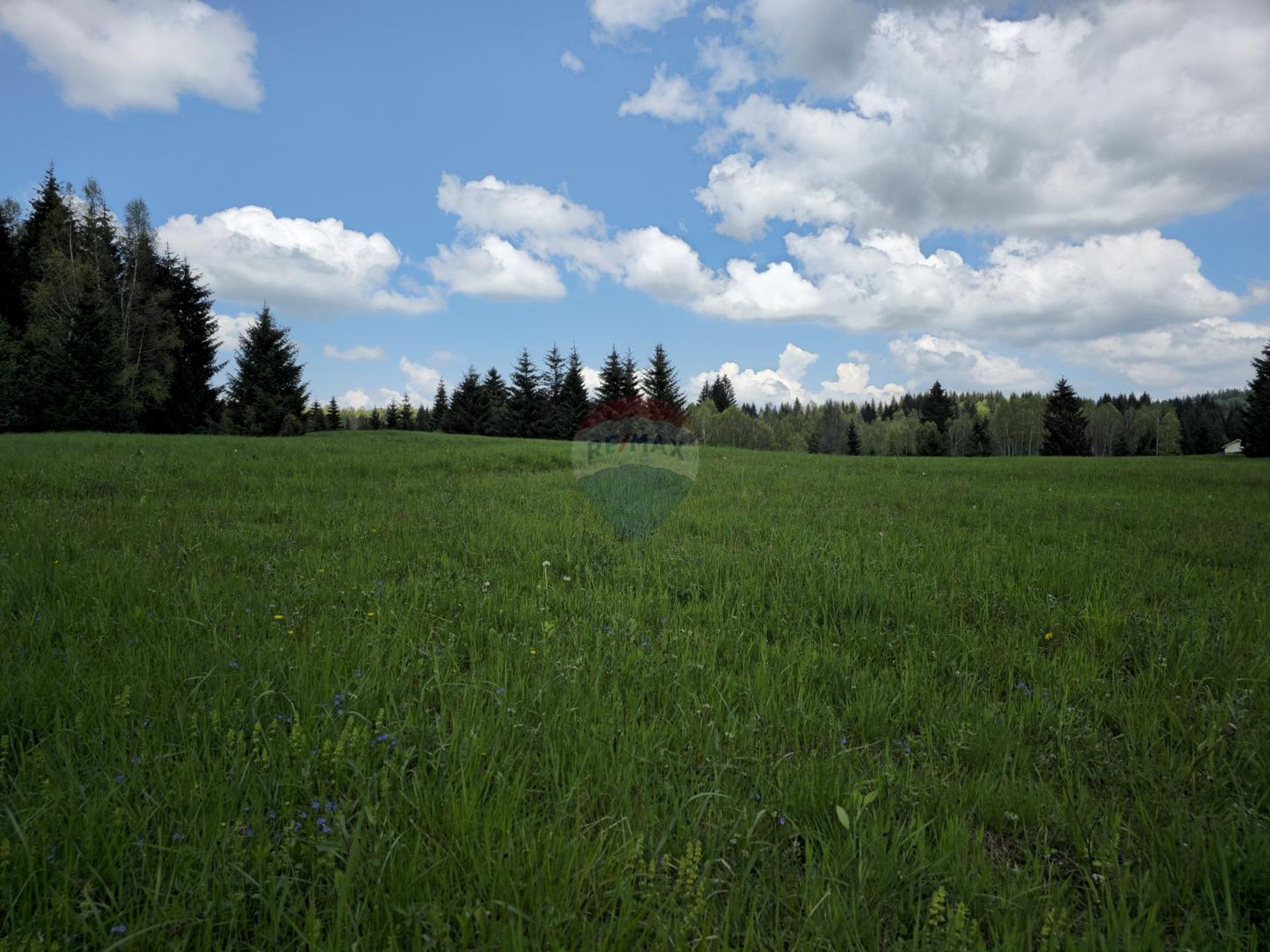 Land im Ravna Gora, Primorsko-Goranska Zupanija 12031713