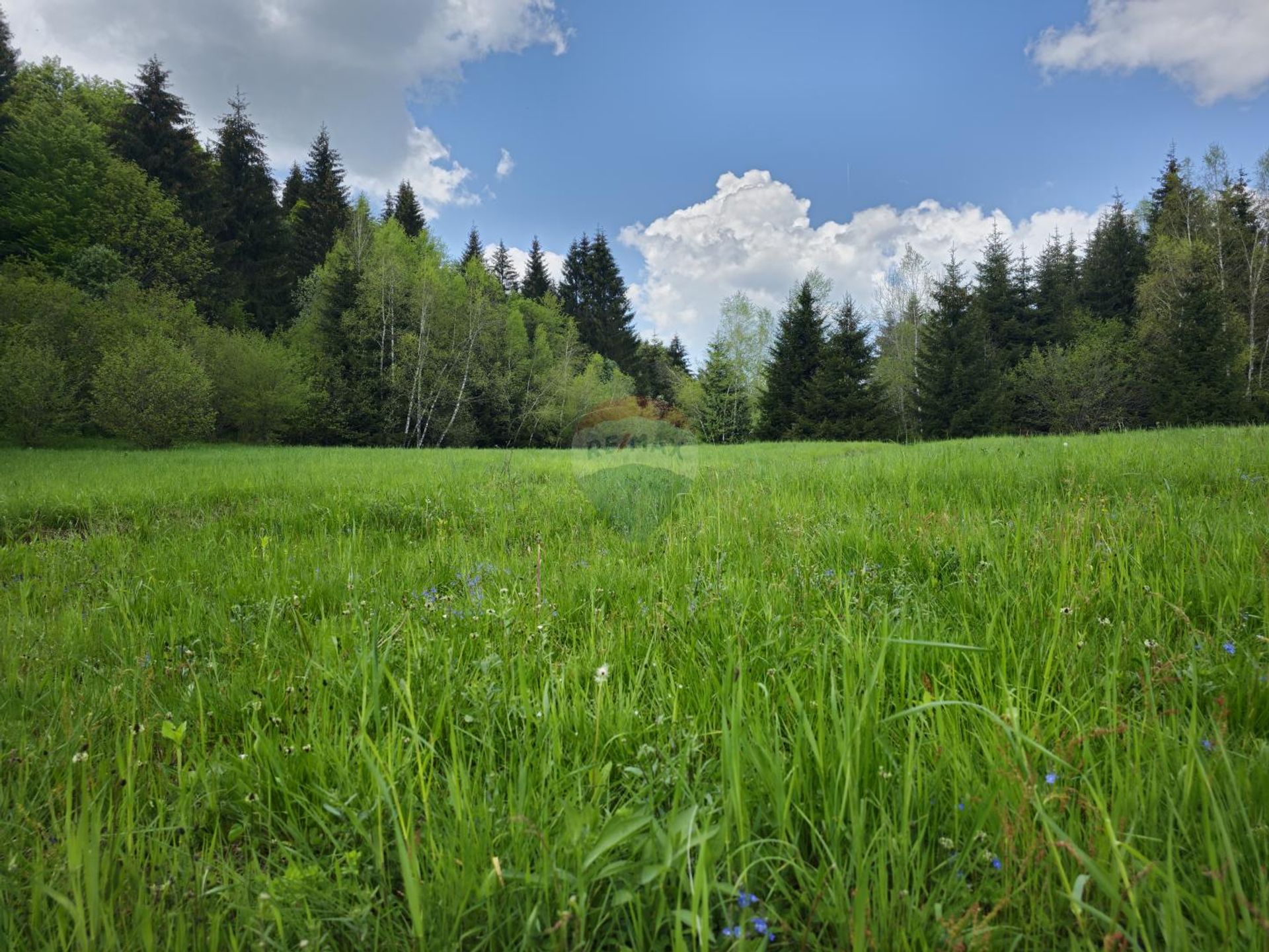 Land im Ravna Gora, Primorsko-Goranska Zupanija 12031713