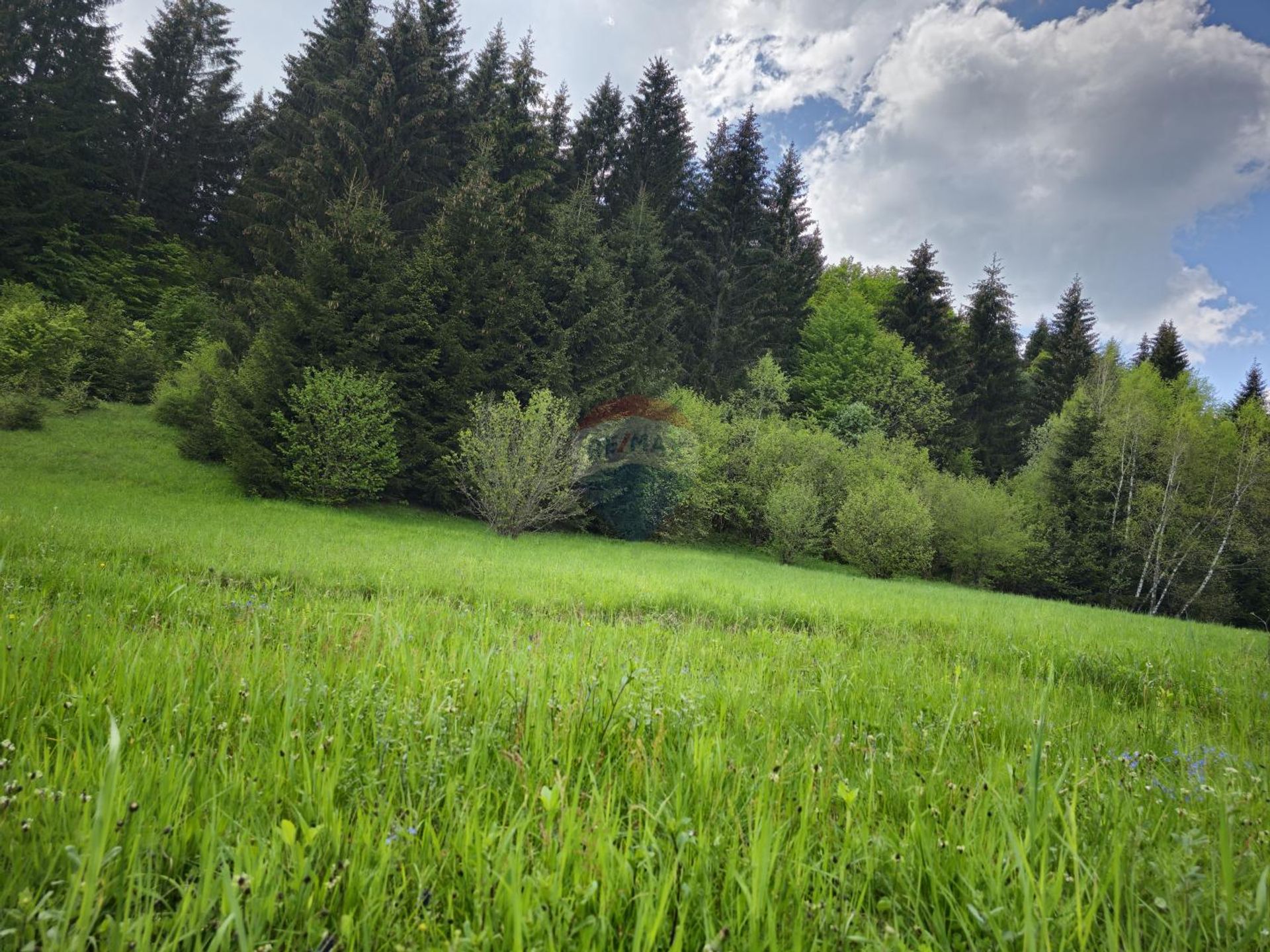 Land im Ravna Gora, Primorsko-Goranska Zupanija 12031713