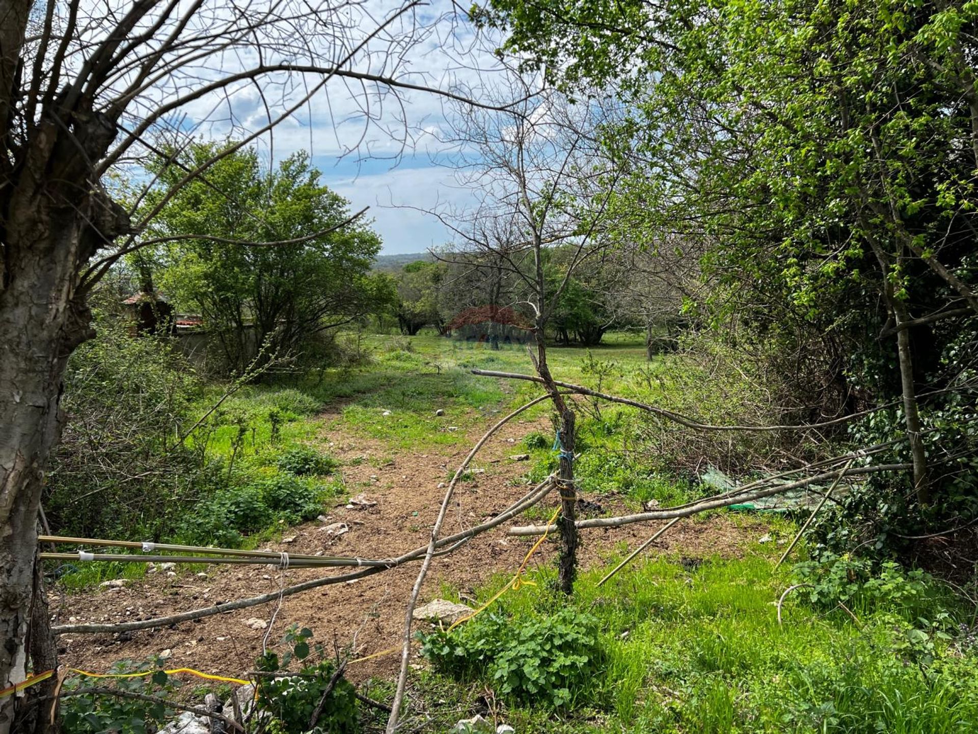 Terre dans Manjadvorci, Istarska županija 12031715