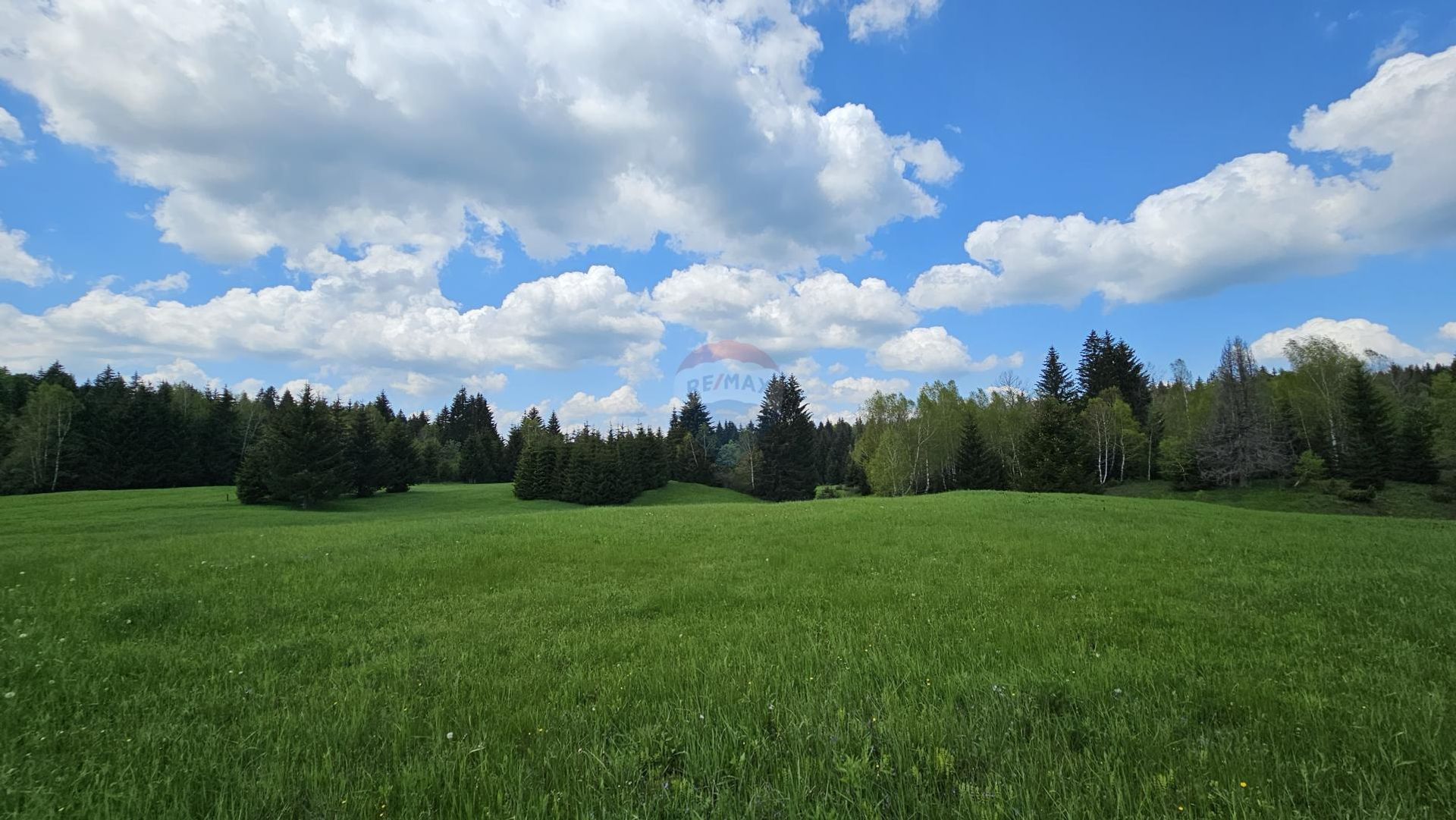 Land im Ravna Gora, Primorsko-Goranska Zupanija 12031810