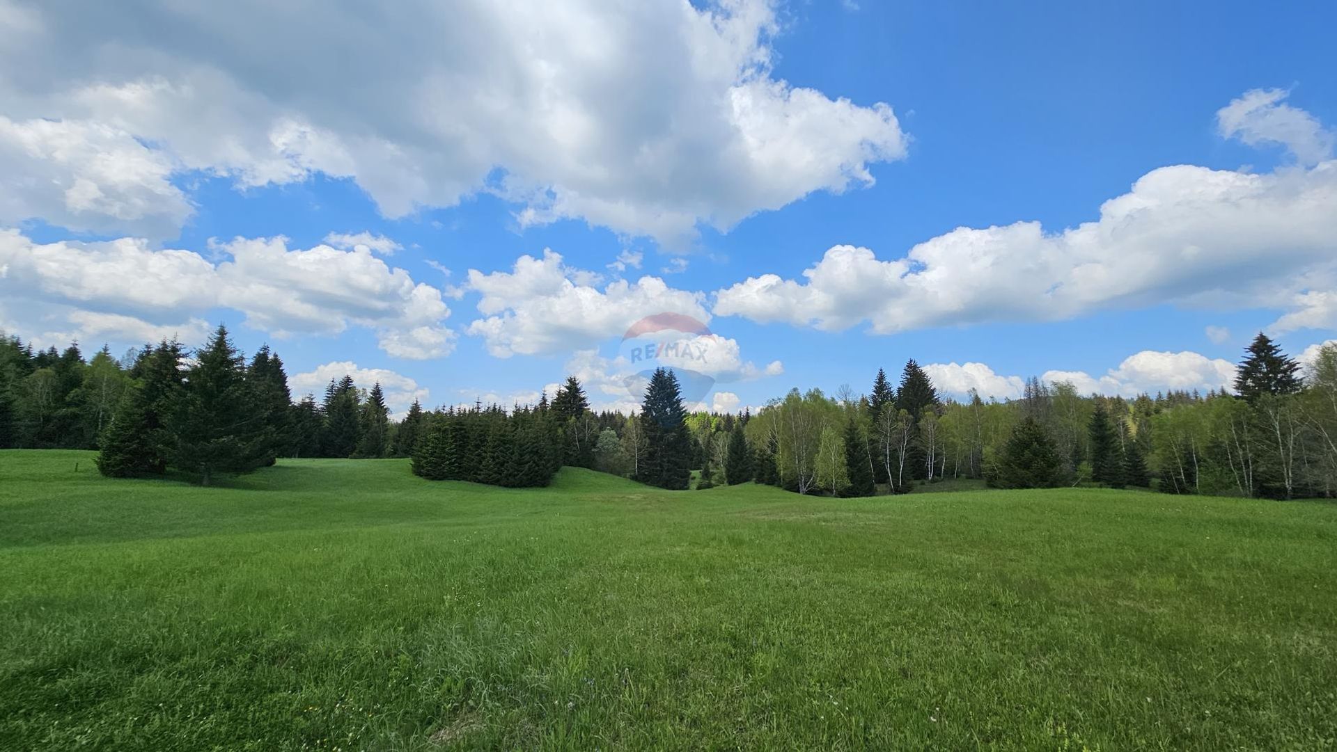 Land im Ravna Gora, Primorsko-Goranska Zupanija 12031810