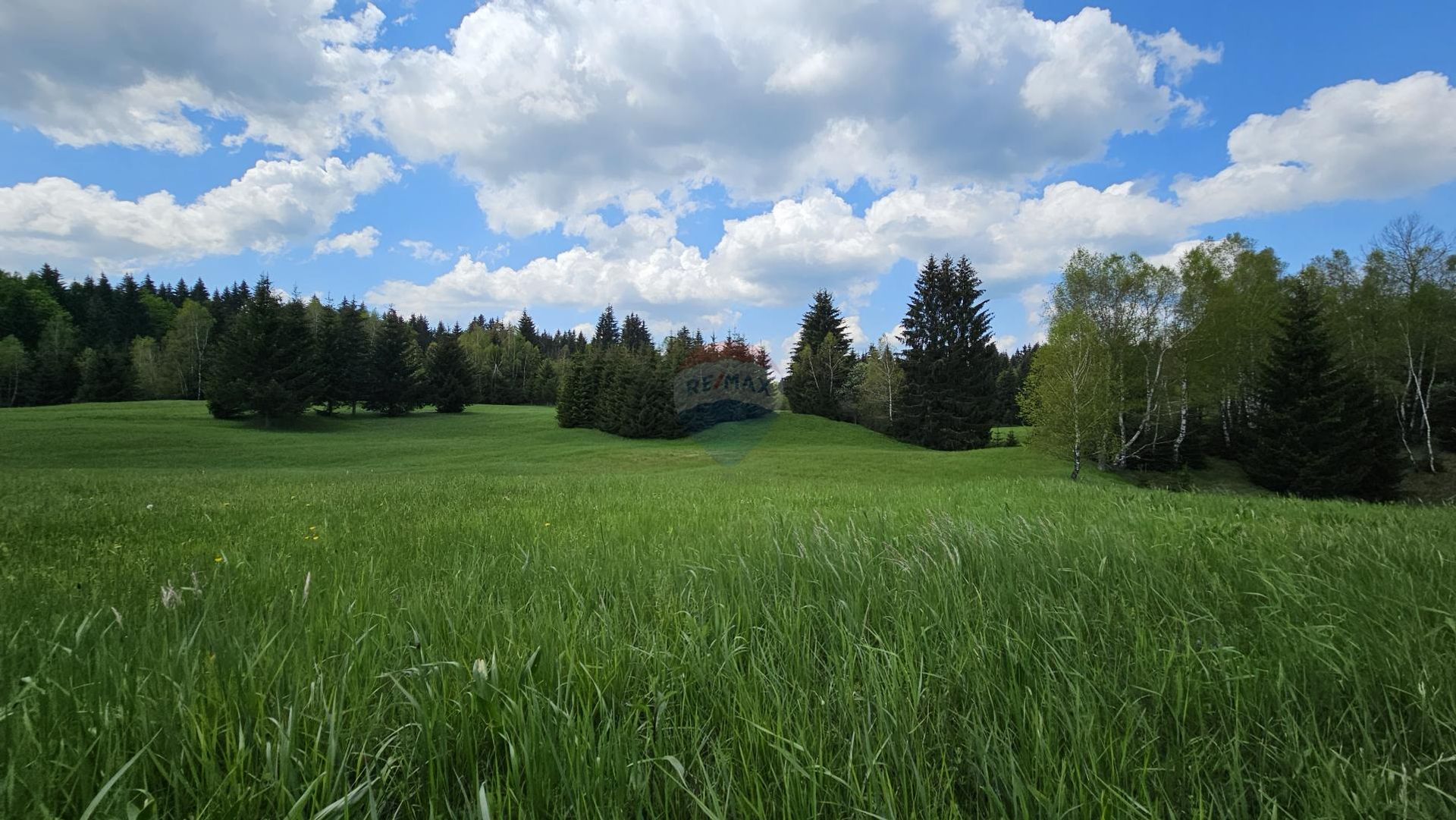 Land im Ravna Gora, Primorsko-Goranska Zupanija 12031810