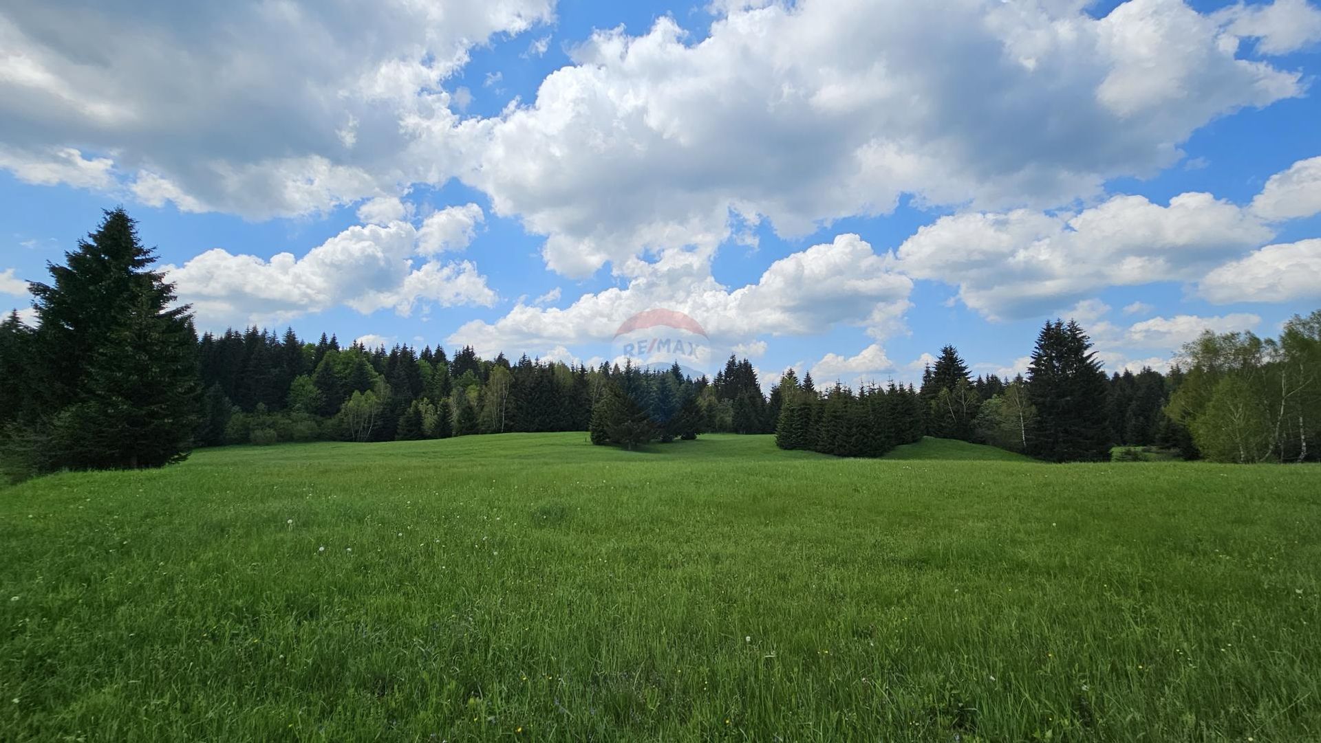 Land im Ravna Gora, Primorsko-Goranska Zupanija 12031810