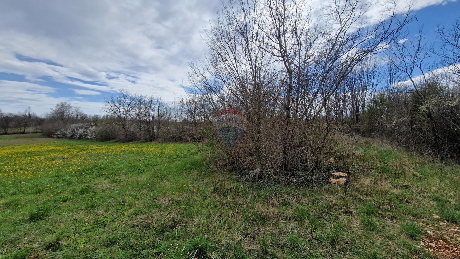 Land in Svetvincenat, Istarska Zupanija 12031891