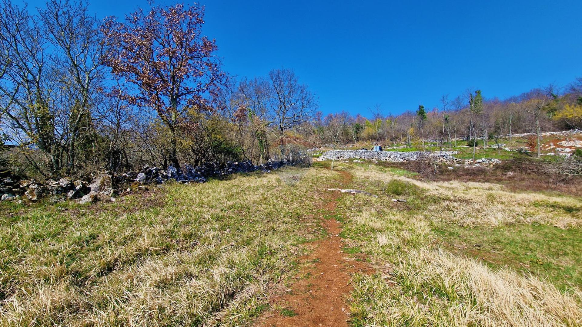 Tierra en Završje, Istarska županija 12031918