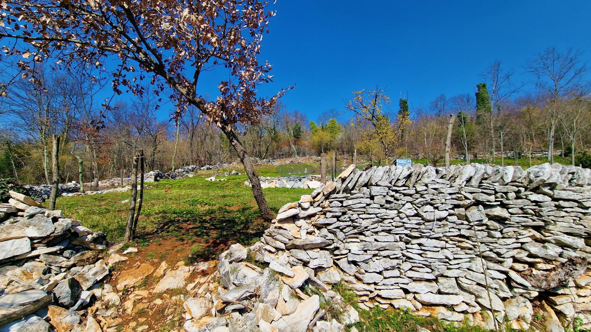 土地 在 Završje, Istarska županija 12031918