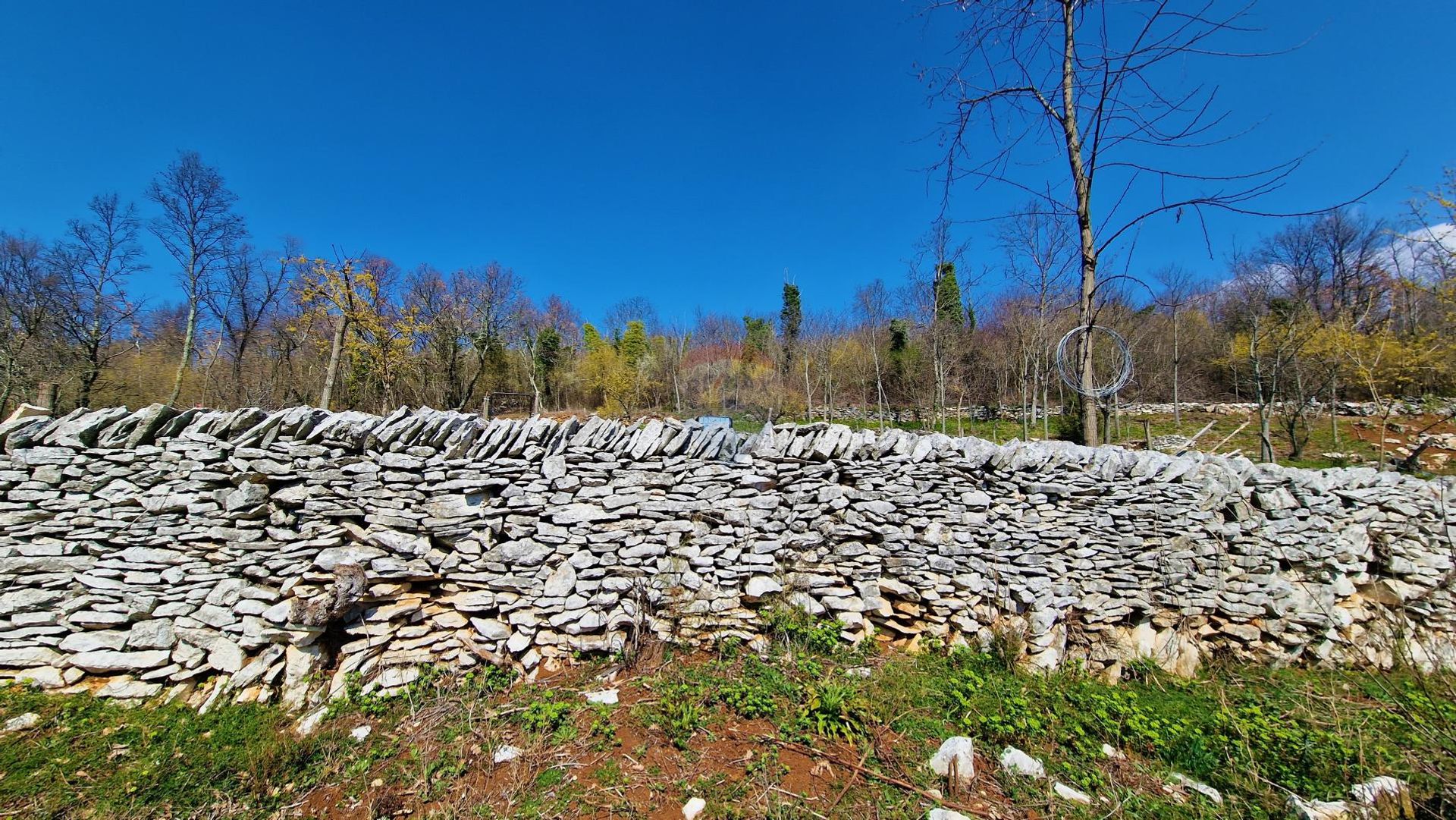 土地 在 Završje, Istarska županija 12031918