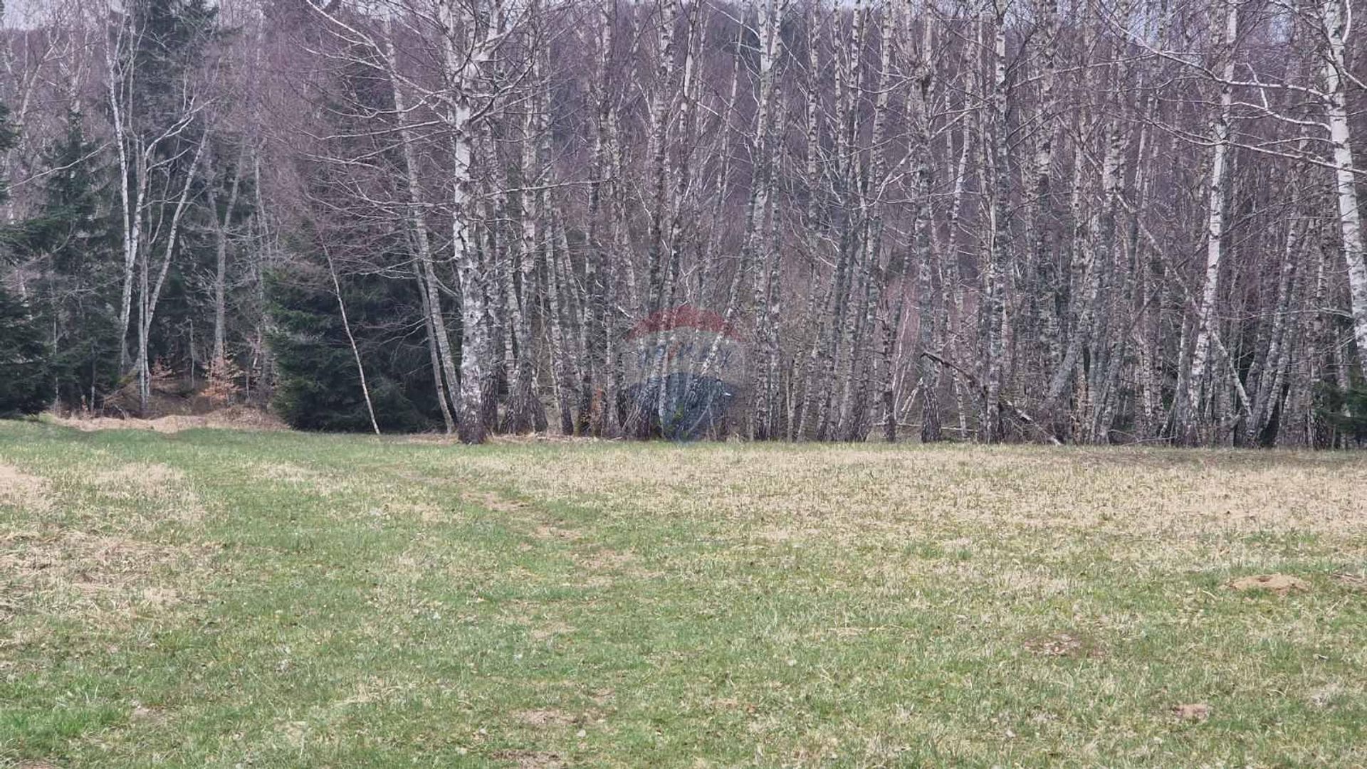 Tanah dalam Skrad, Primorsko-Goranska Zupanija 12031948