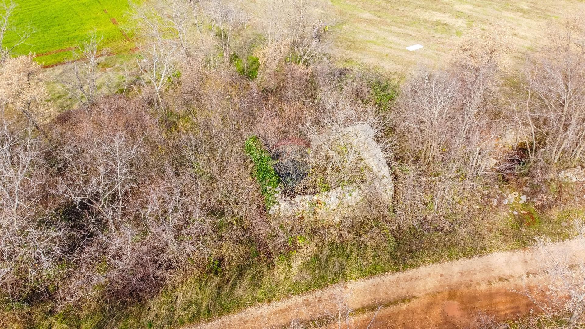 Land in Kastelir, Istarska Zupanija 12032001