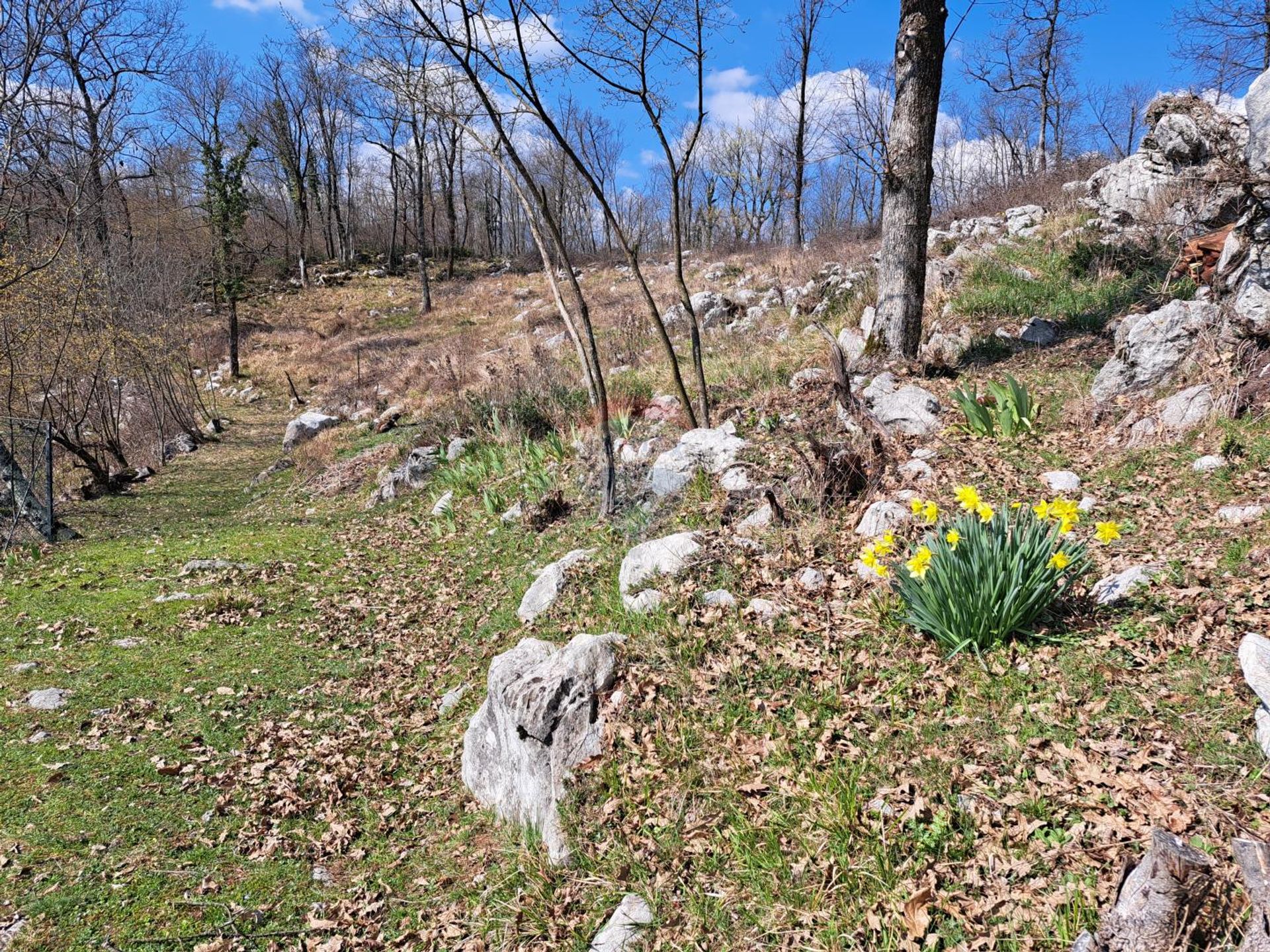 Terre dans Matulji, Primorsko-Goranska Zupanija 12032005