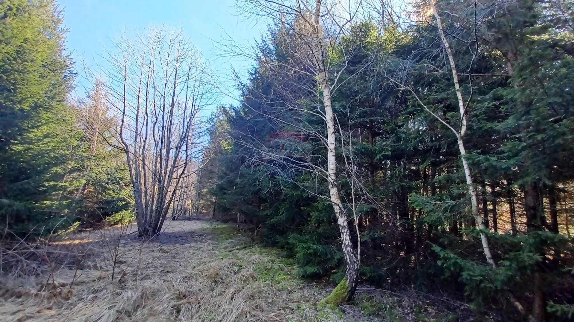 Tierra en Fuzine, Primorsko-Goranska Županija 12032028