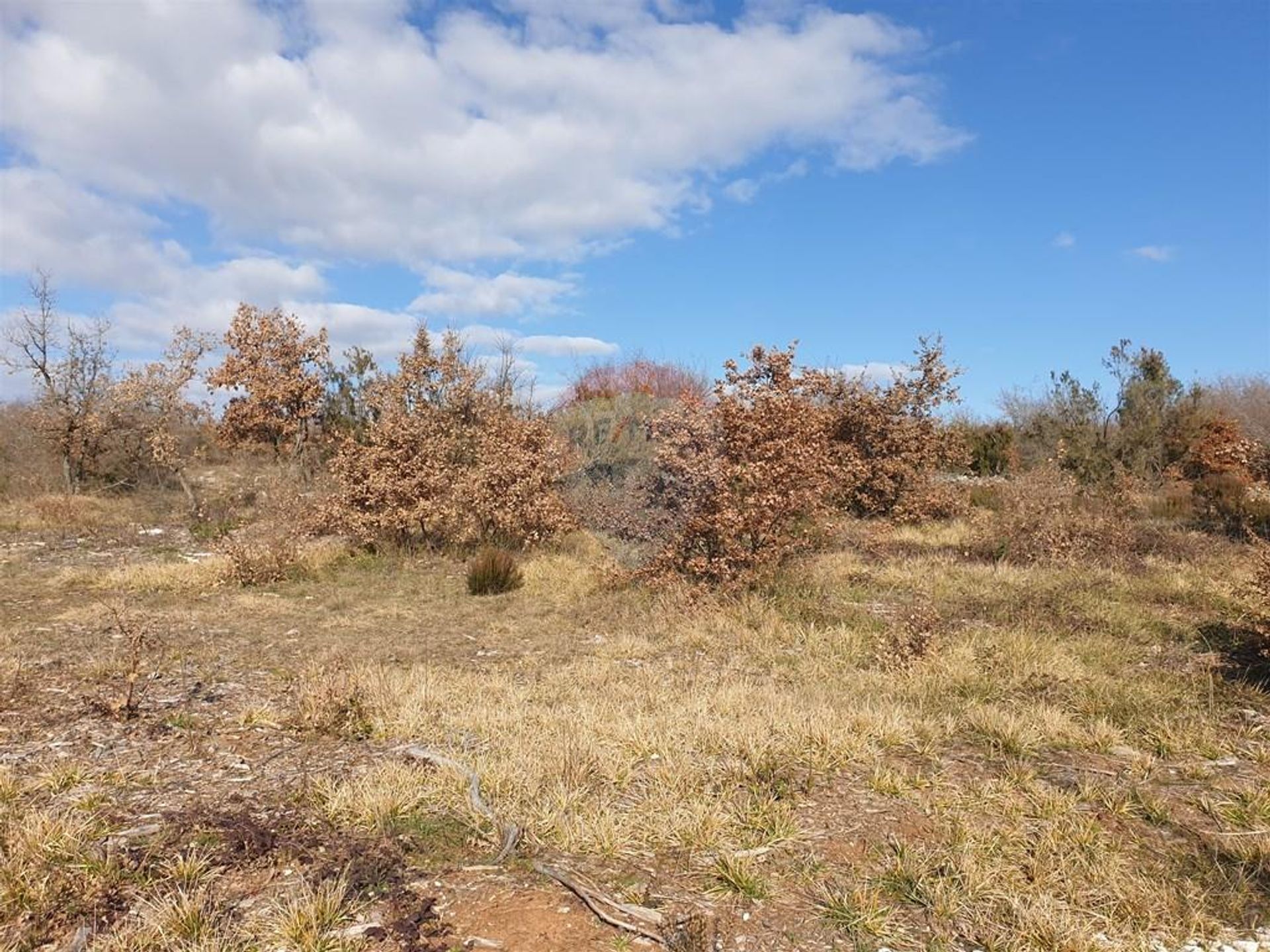 Land in Marčana, Istarska županija 12032055