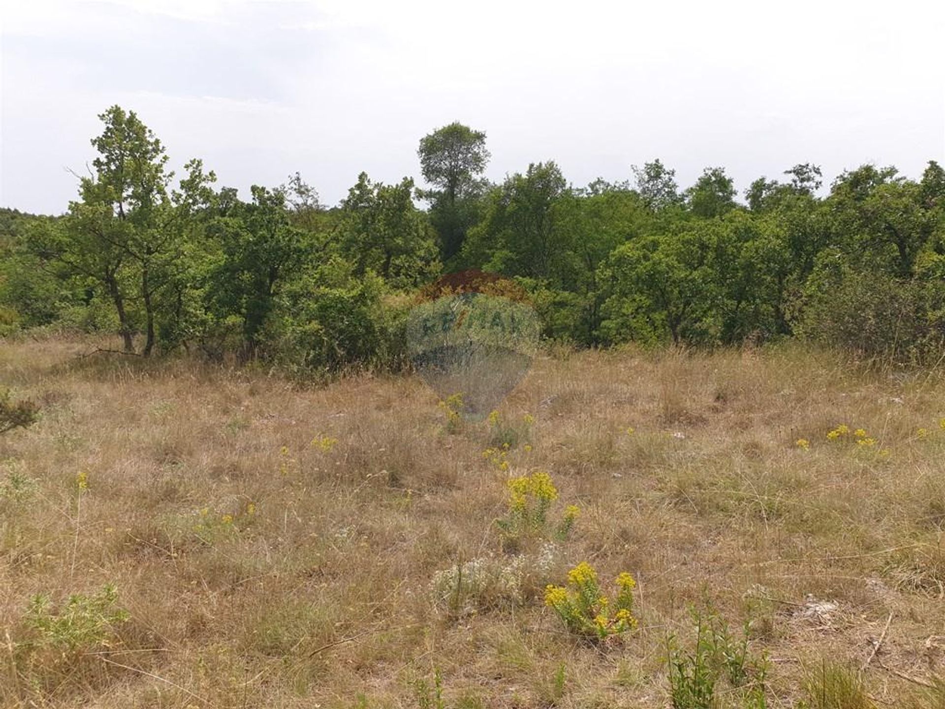 Land in Marčana, Istarska županija 12032055