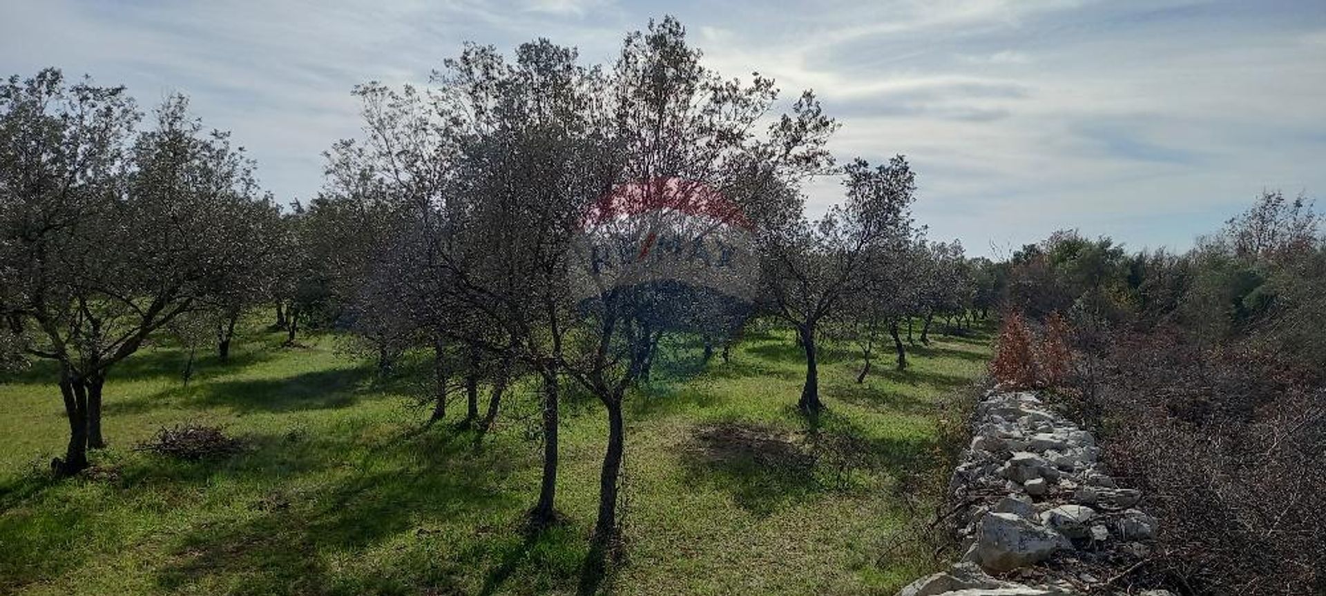 Terre dans Vodnjan, Istarska Zupanija 12032096