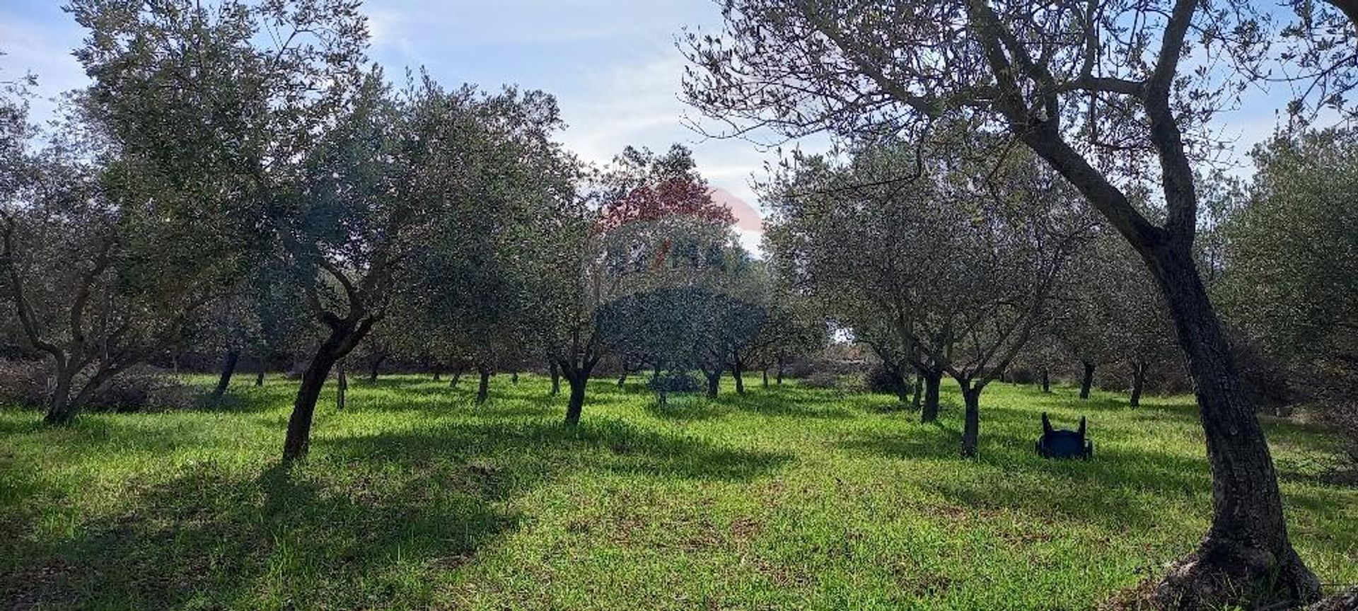 Terra no Gajana, Istarska županija 12032096