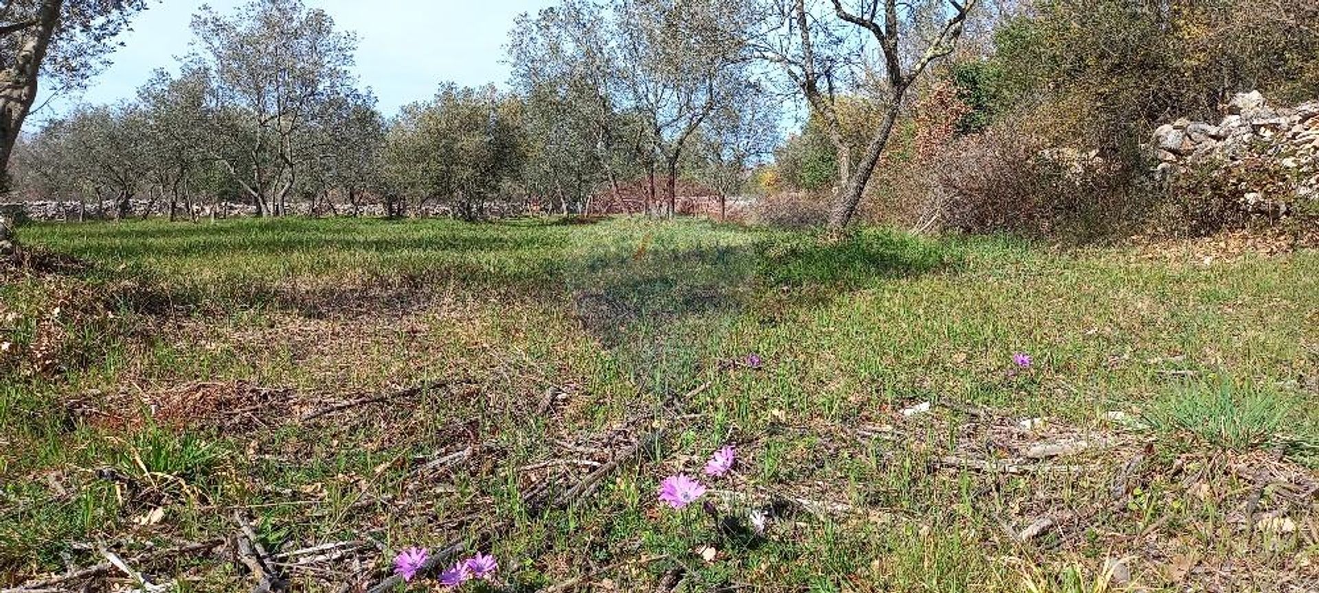 Terra no Gajana, Istarska županija 12032096