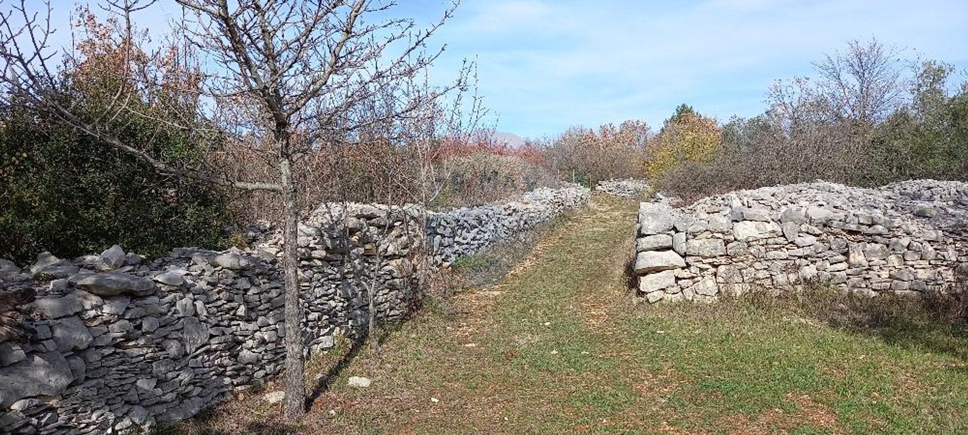 Terra no Gajana, Istarska županija 12032096