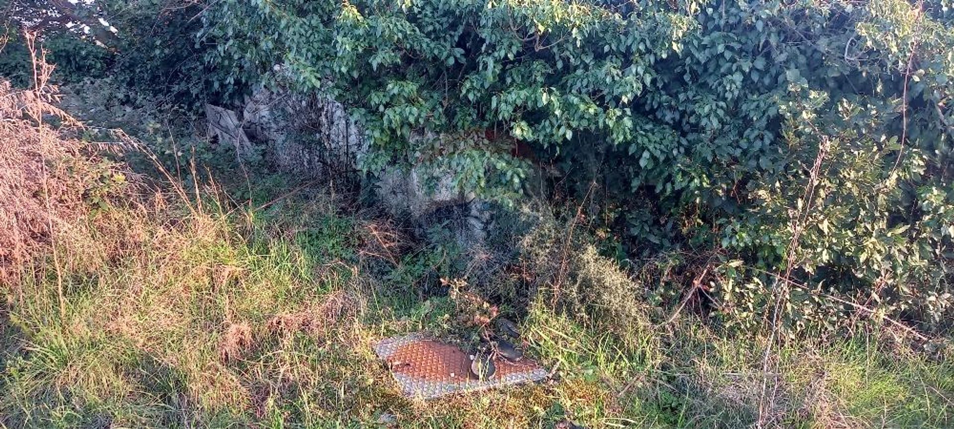 Terre dans Fažana, Istarska županija 12032100