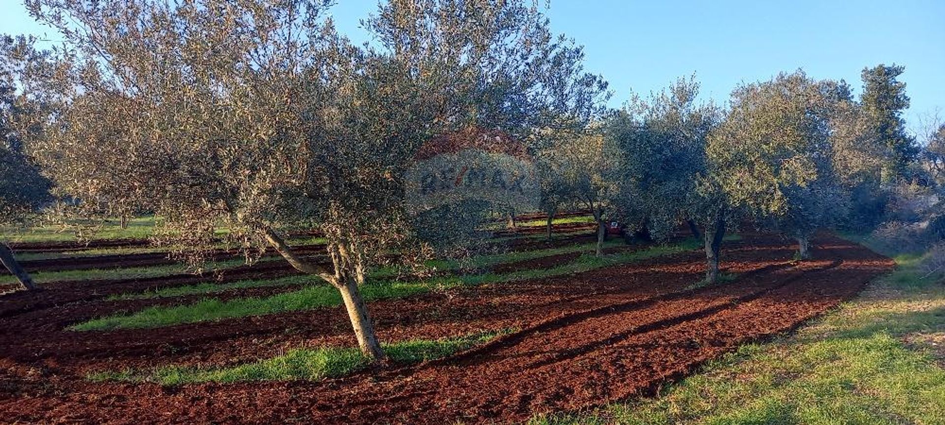 Terre dans Fažana, Istarska županija 12032100